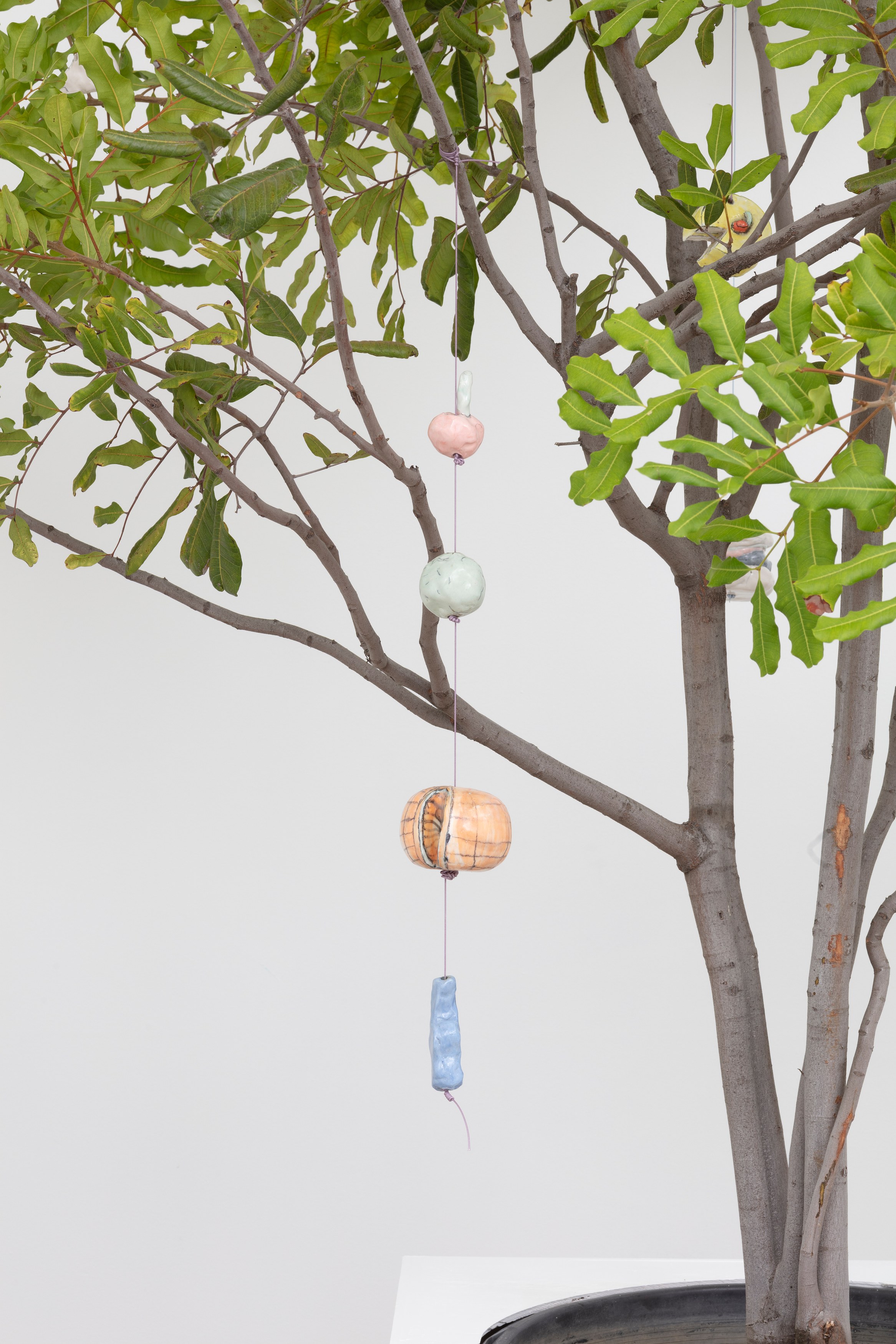Johanna Jackson, I Am Vertical at NOON Projects, photo 20