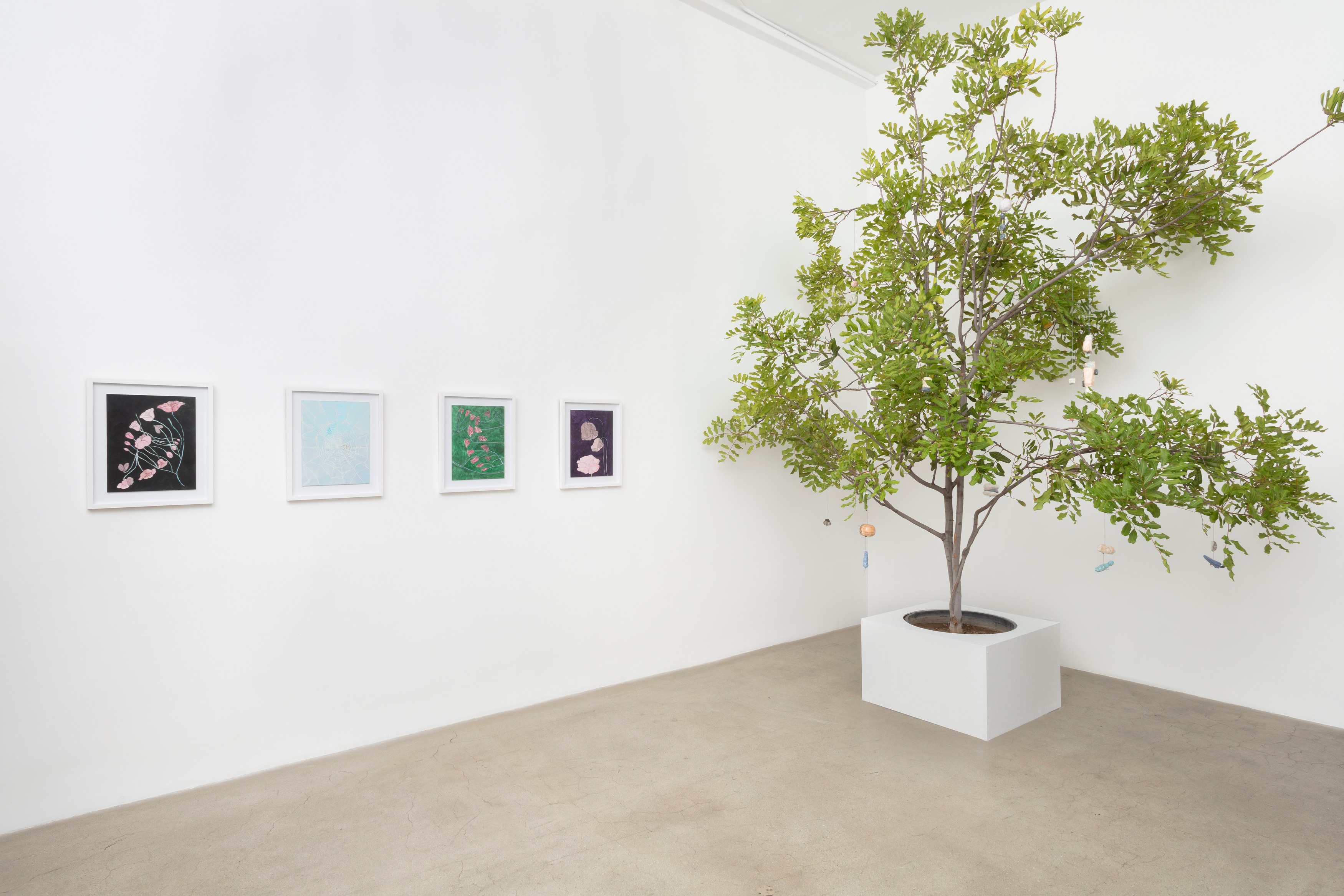 Johanna Jackson, I Am Vertical at NOON Projects, photo 4