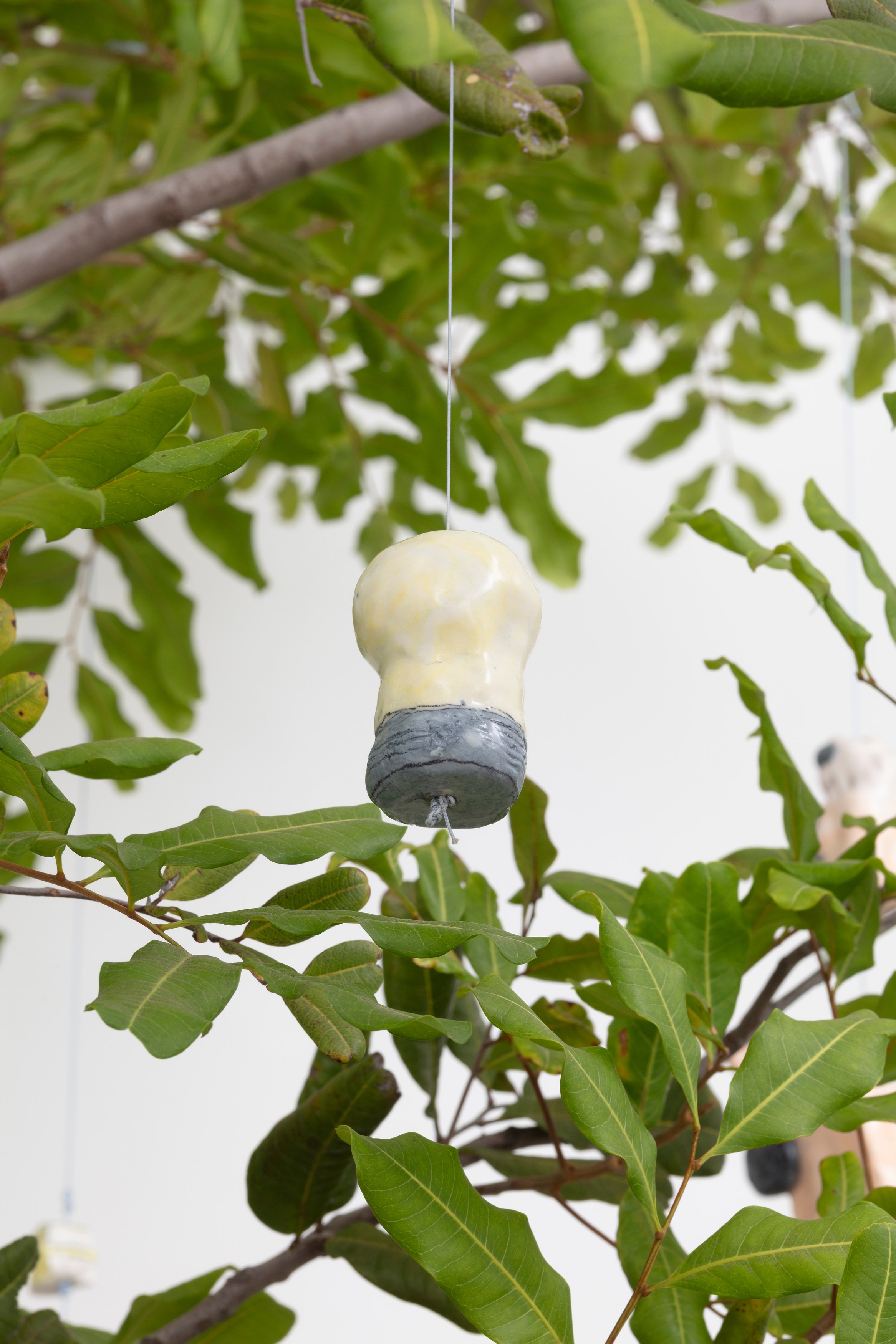 Johanna Jackson, I Am Vertical at NOON Projects, photo 23