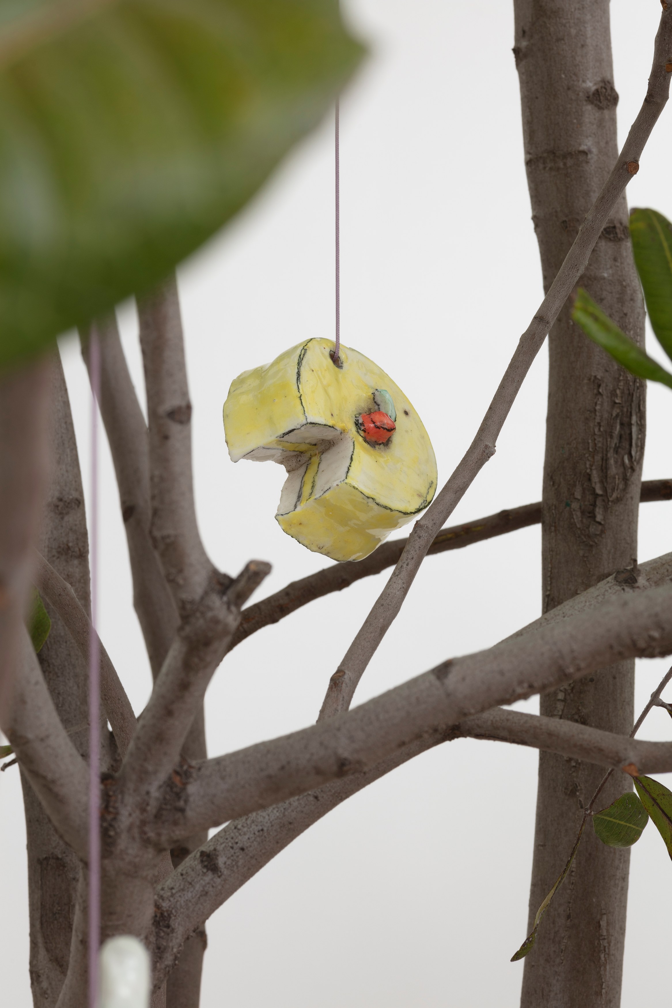 Johanna Jackson, I Am Vertical at NOON Projects, photo 21