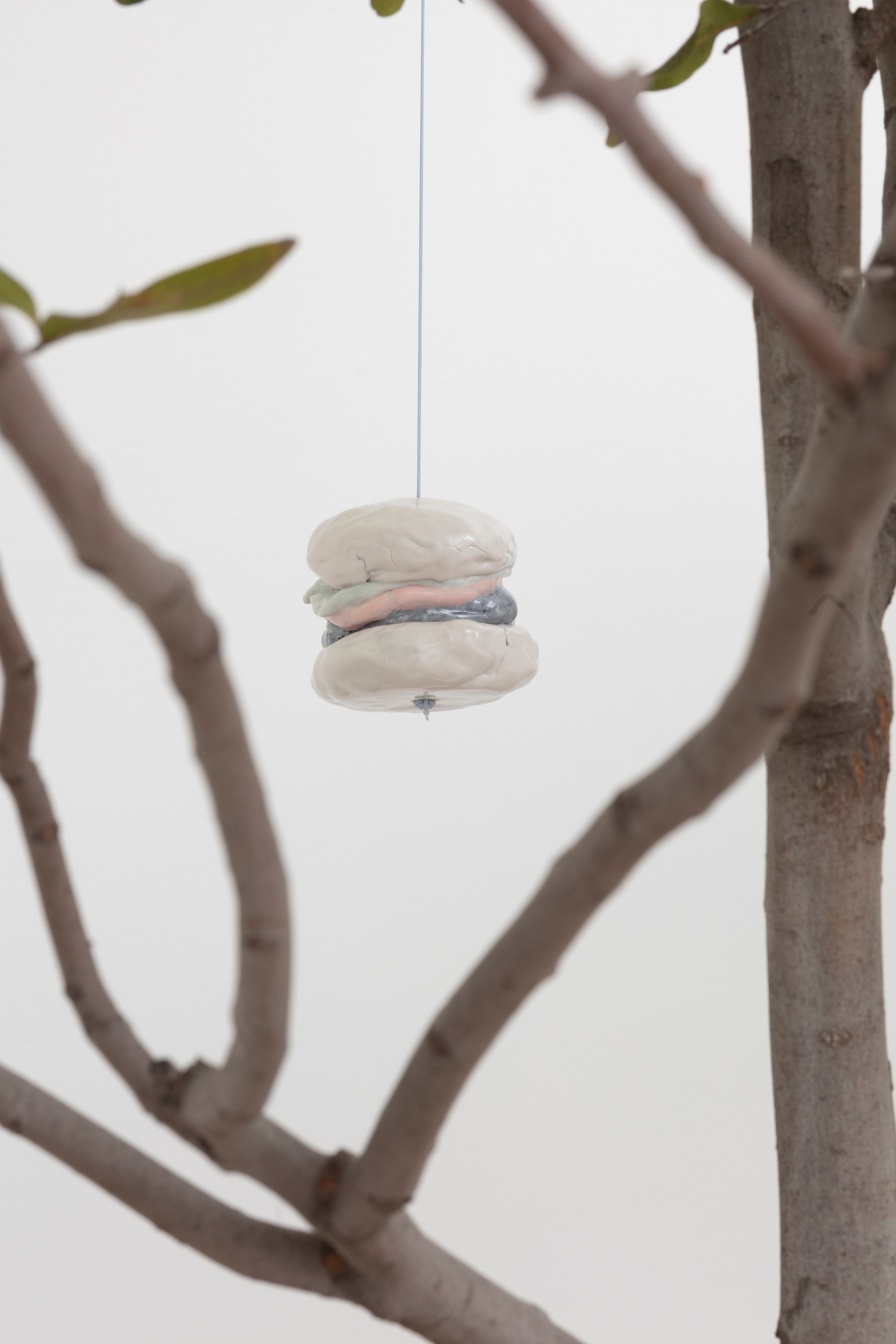 Johanna Jackson, I Am Vertical at NOON Projects, photo 22