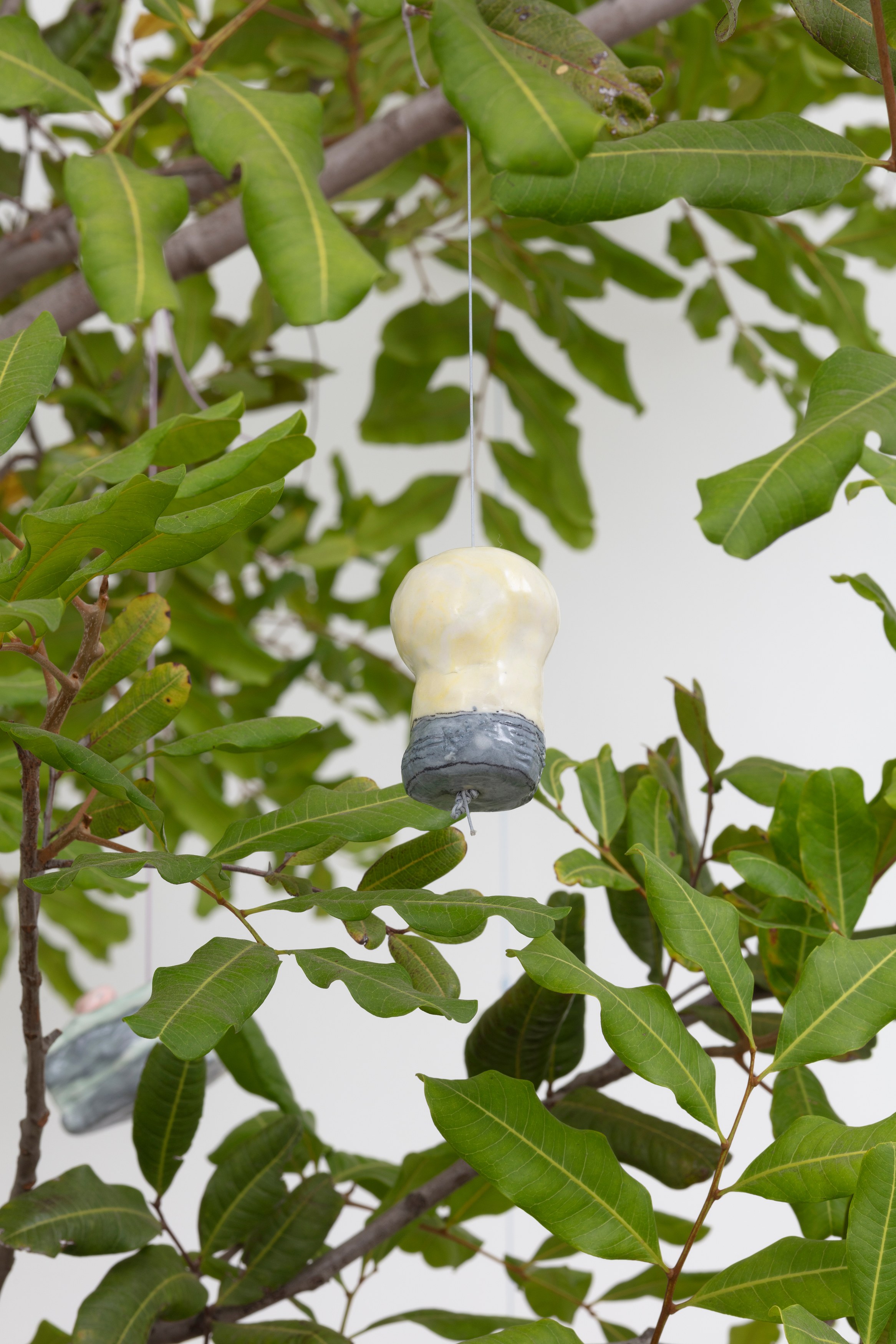 Johanna Jackson, I Am Vertical at NOON Projects, photo 24