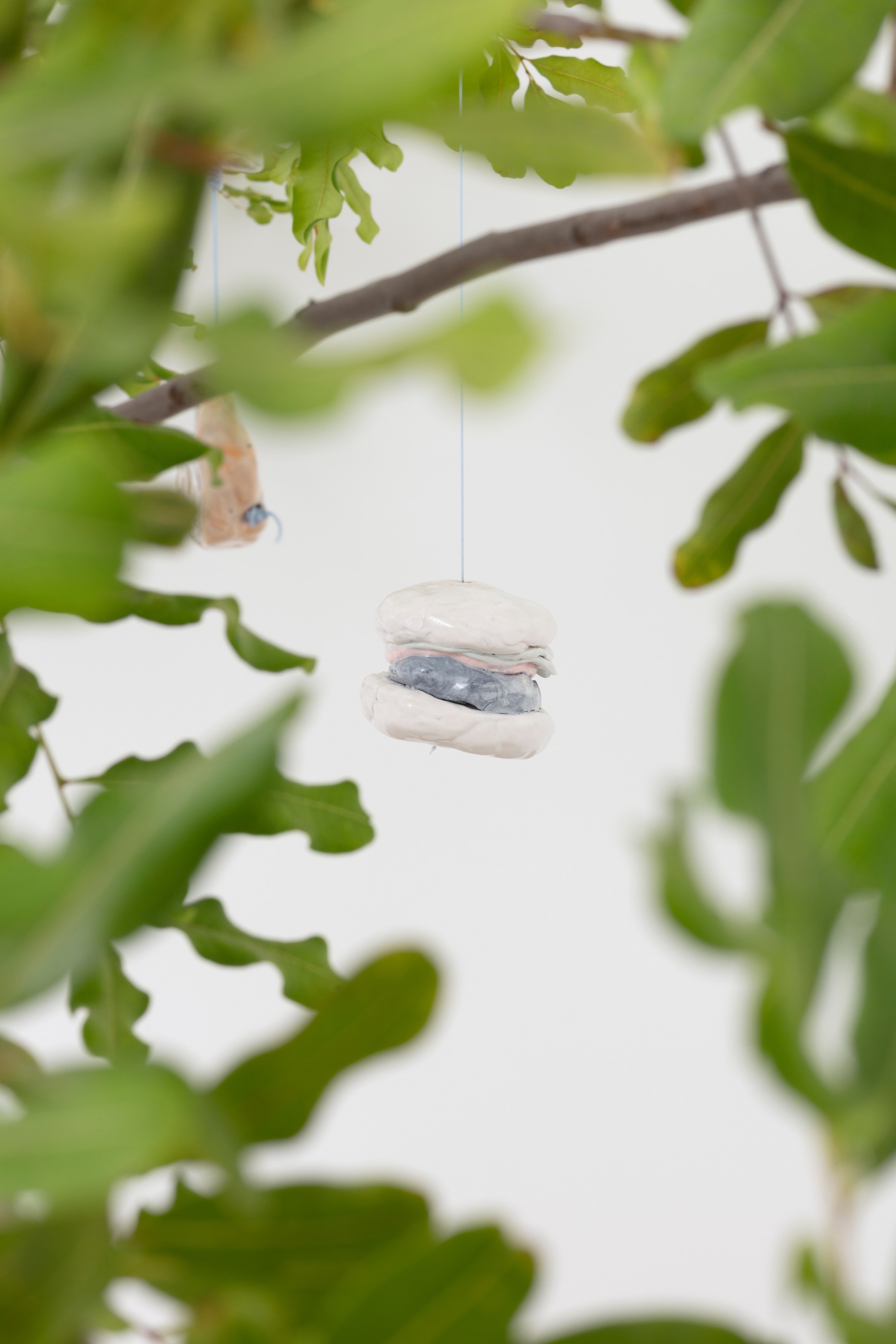 Johanna Jackson, I Am Vertical at NOON Projects, photo 29