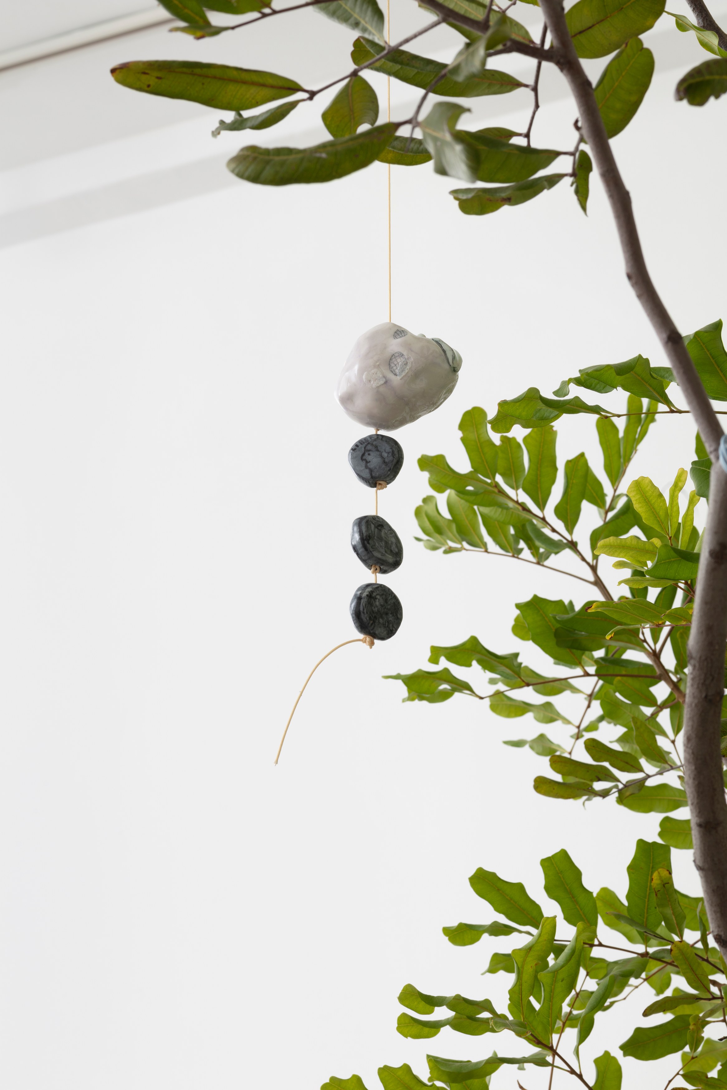 Johanna Jackson, I Am Vertical at NOON Projects, photo 30