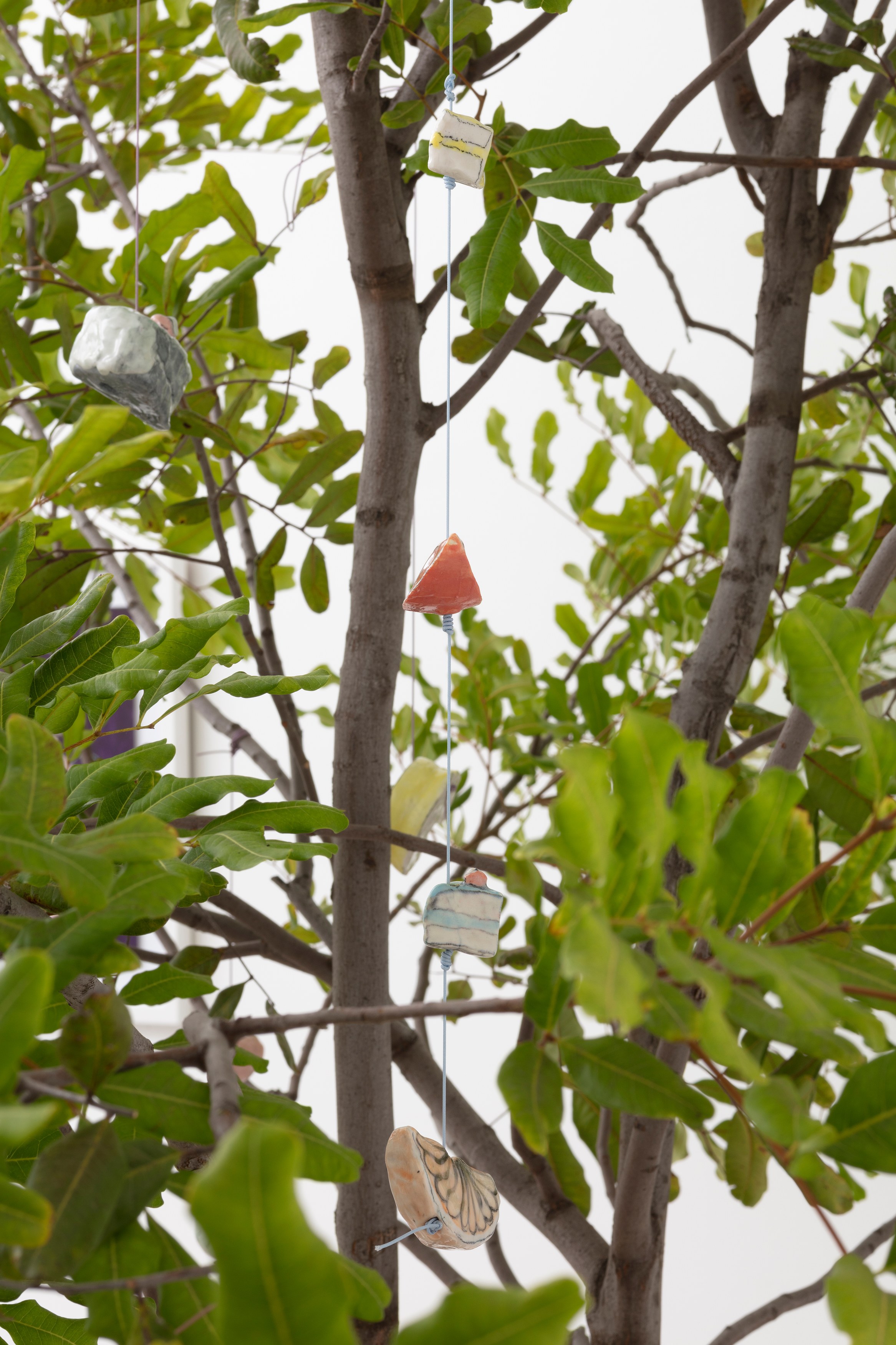 Johanna Jackson, I Am Vertical at NOON Projects, photo 32