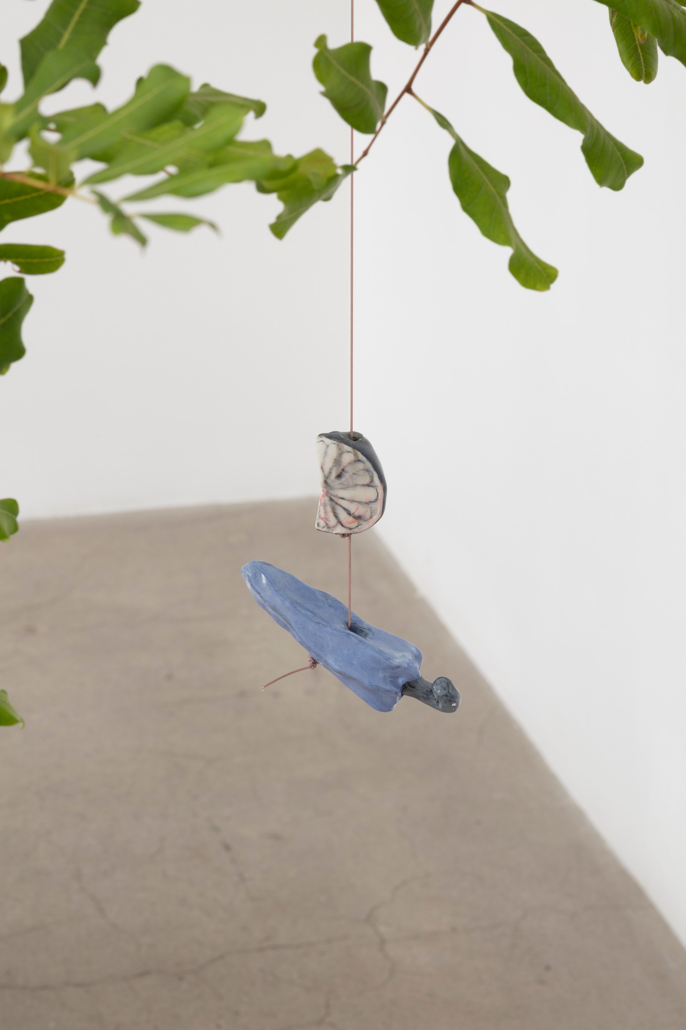 Johanna Jackson, I Am Vertical at NOON Projects, photo 31