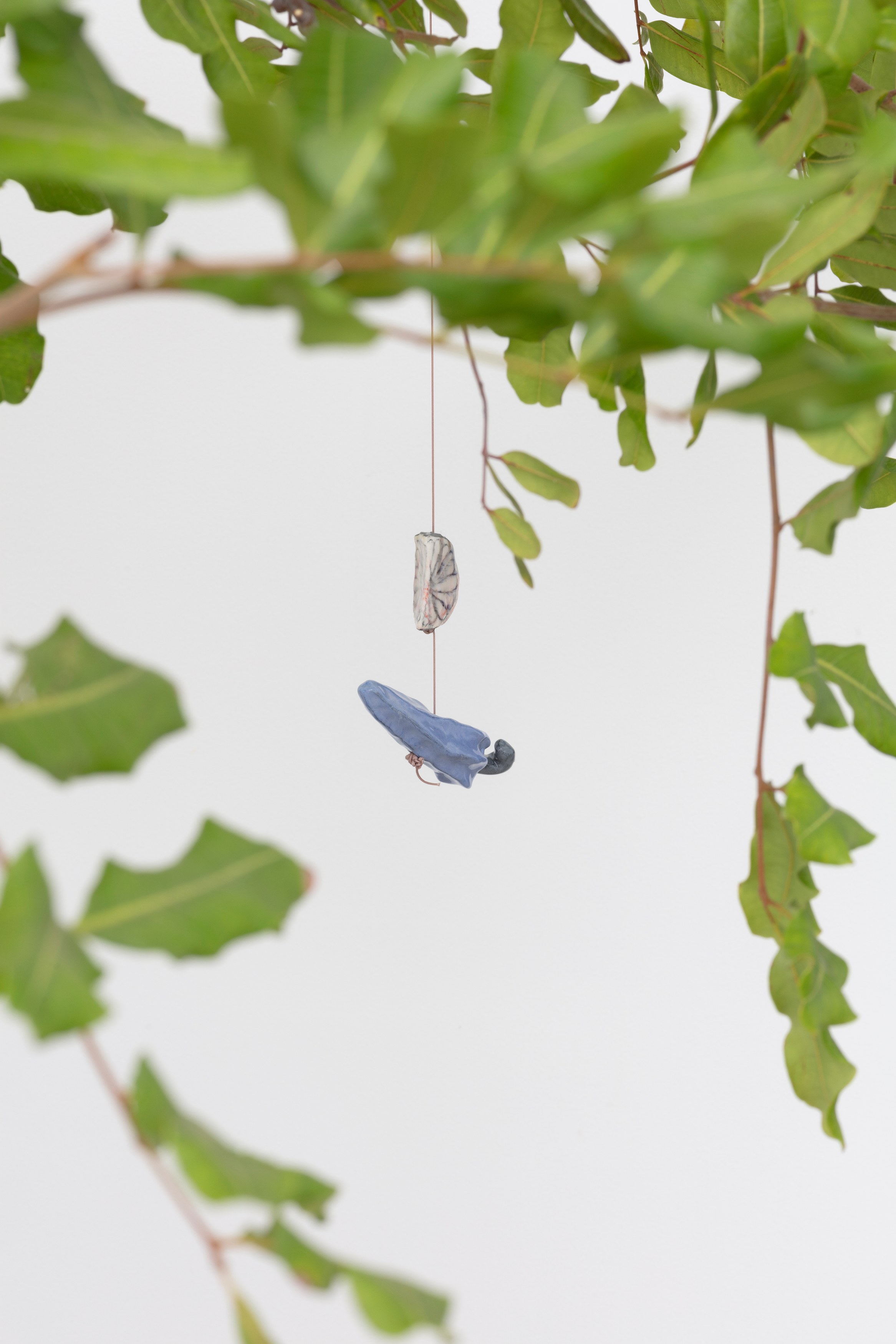 Johanna Jackson, I Am Vertical at NOON Projects, photo 34
