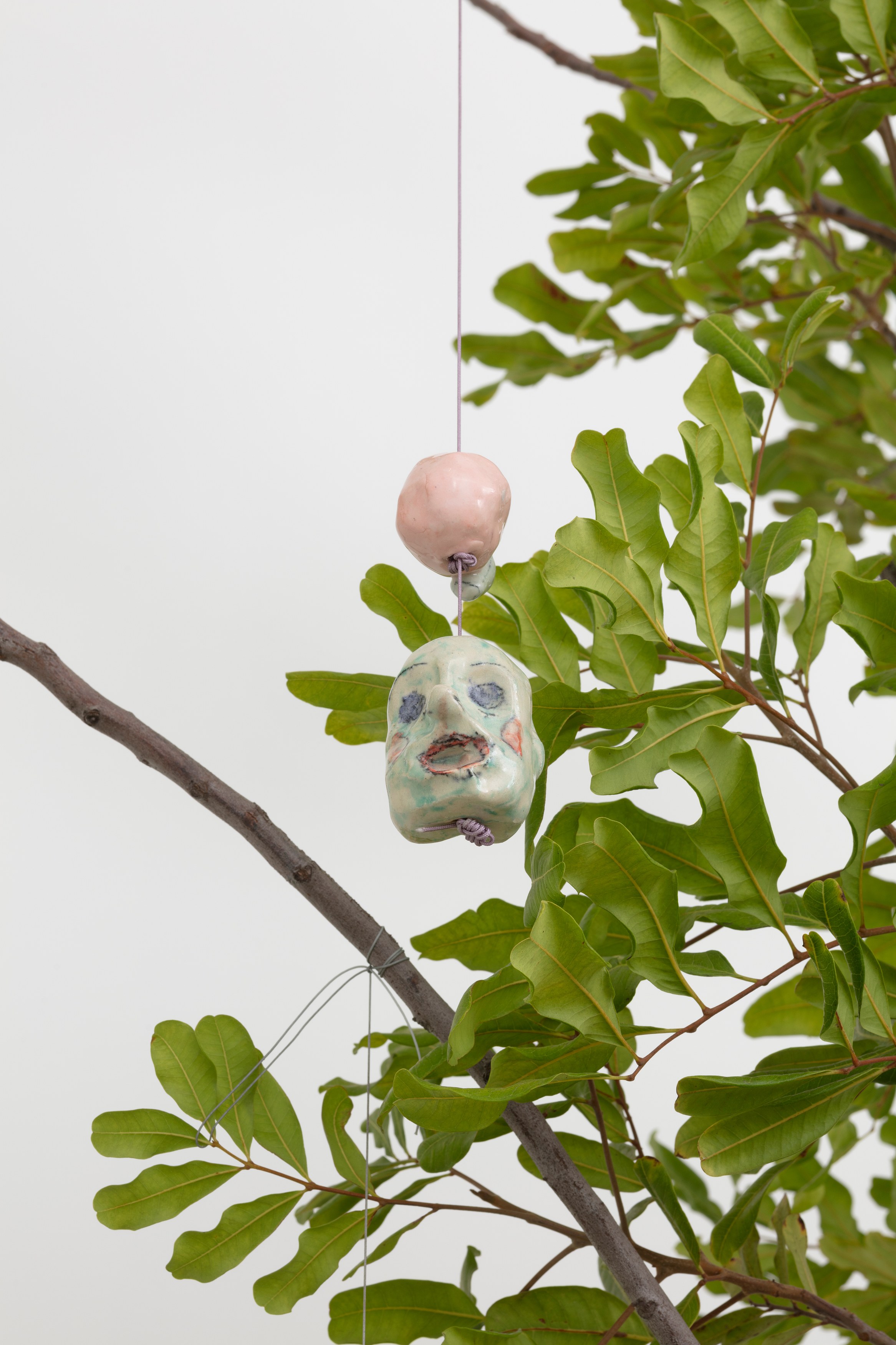 Johanna Jackson, I Am Vertical at NOON Projects, photo 36