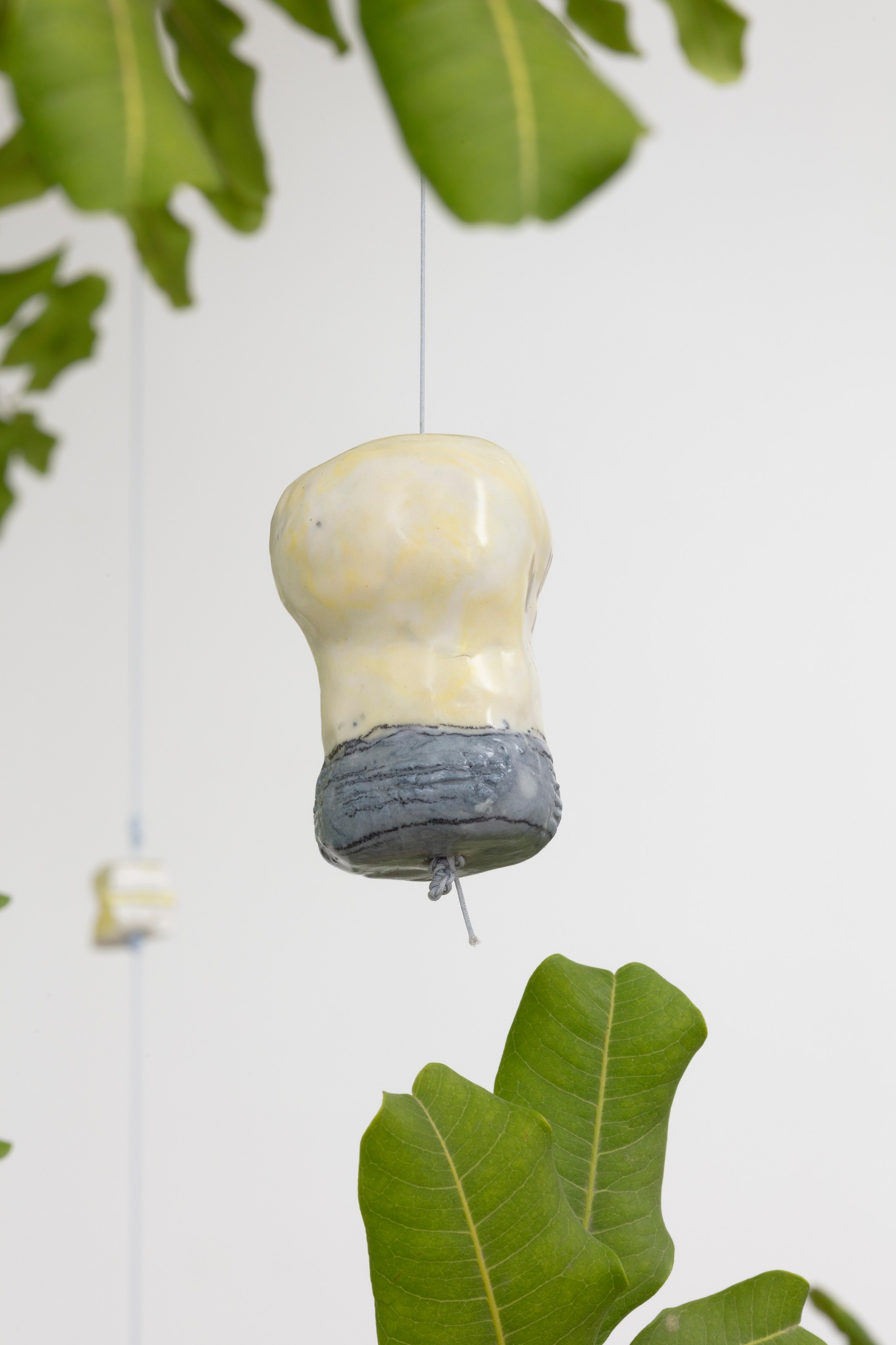 Johanna Jackson, I Am Vertical at NOON Projects, photo 42