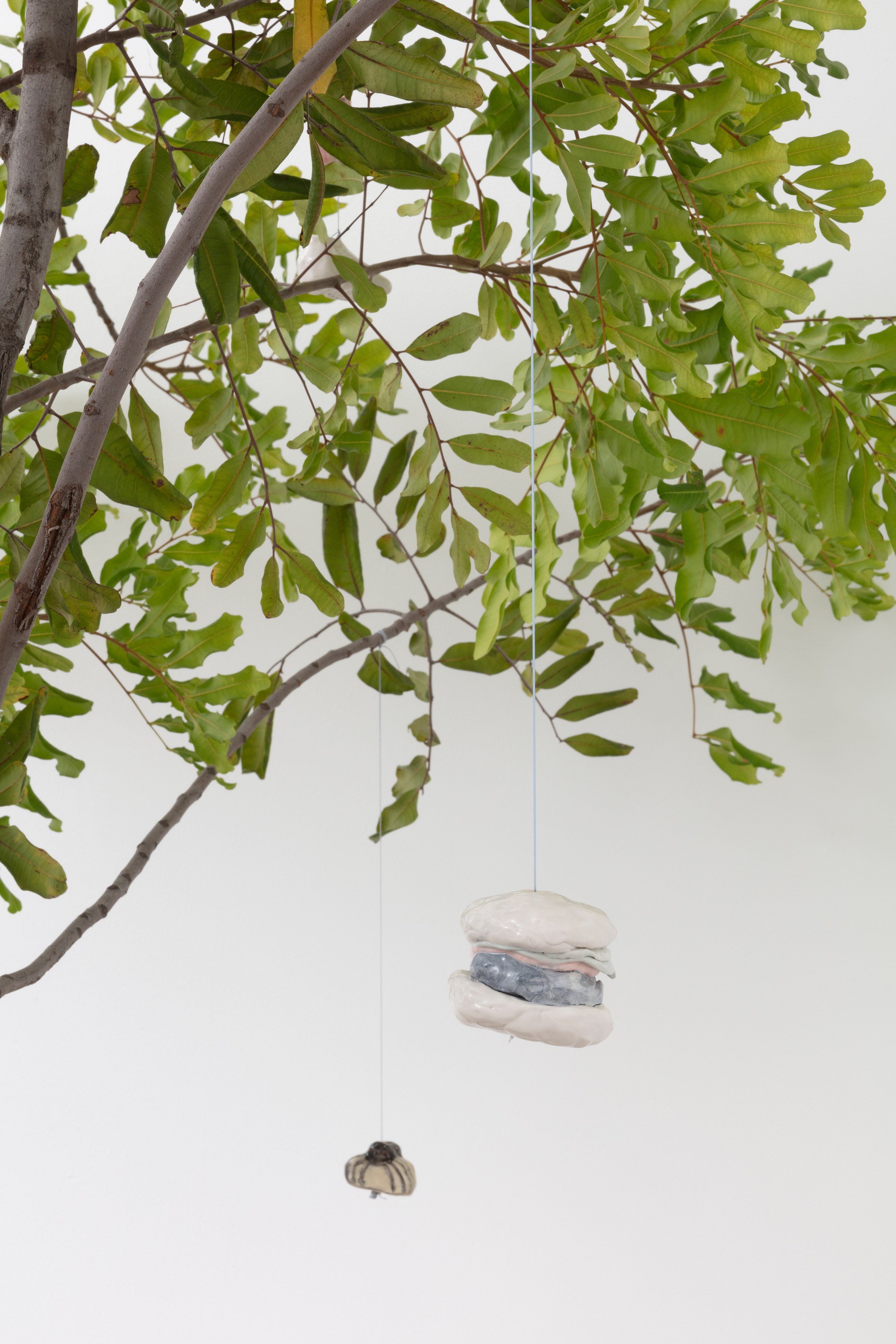Johanna Jackson, I Am Vertical at NOON Projects, photo 46