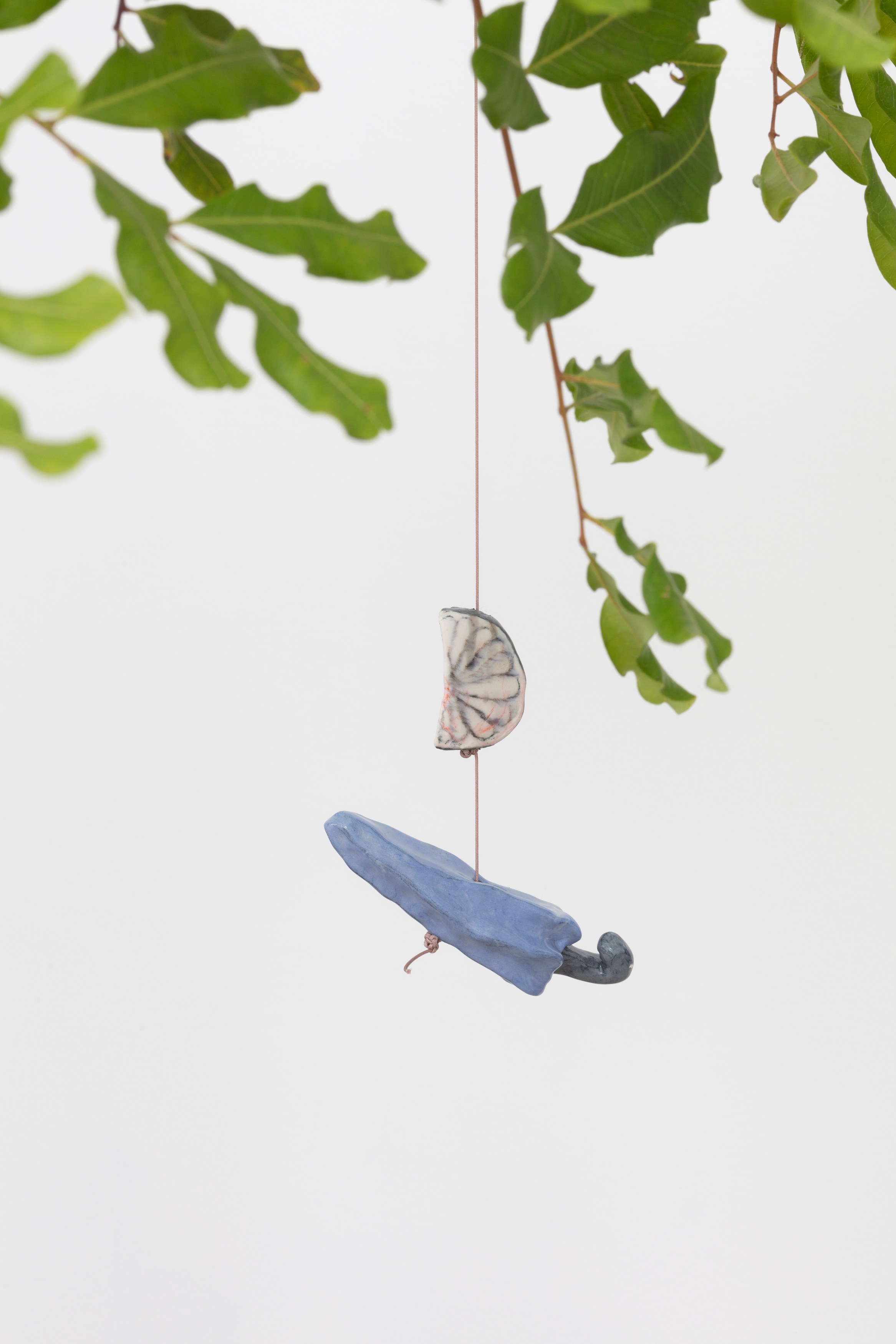 Johanna Jackson, I Am Vertical at NOON Projects, photo 48