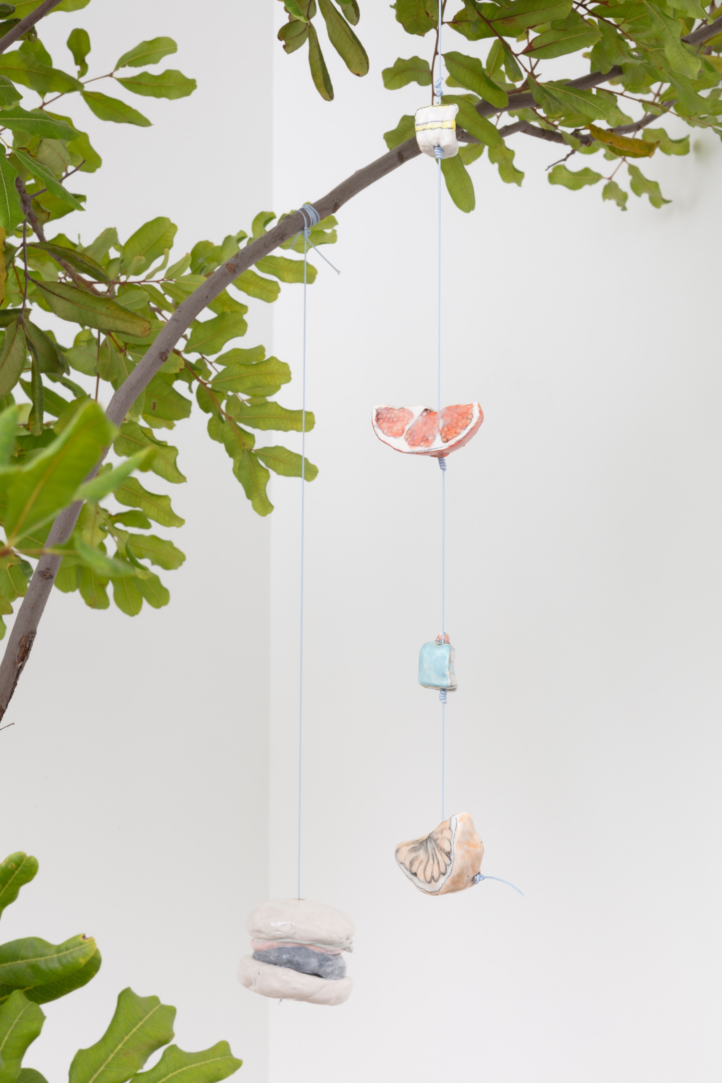 Johanna Jackson, I Am Vertical at NOON Projects, photo 44