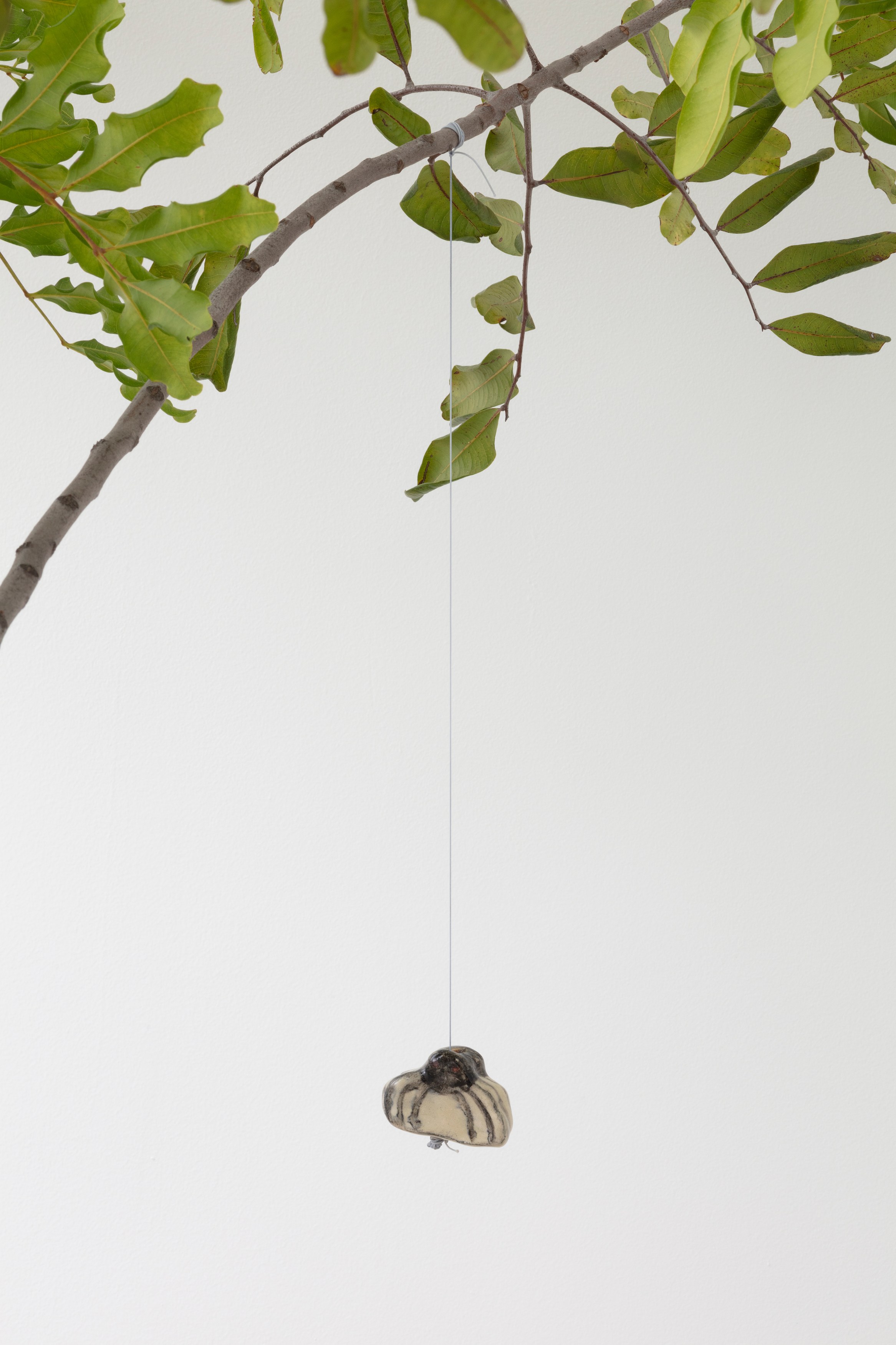 Johanna Jackson, I Am Vertical at NOON Projects, photo 47
