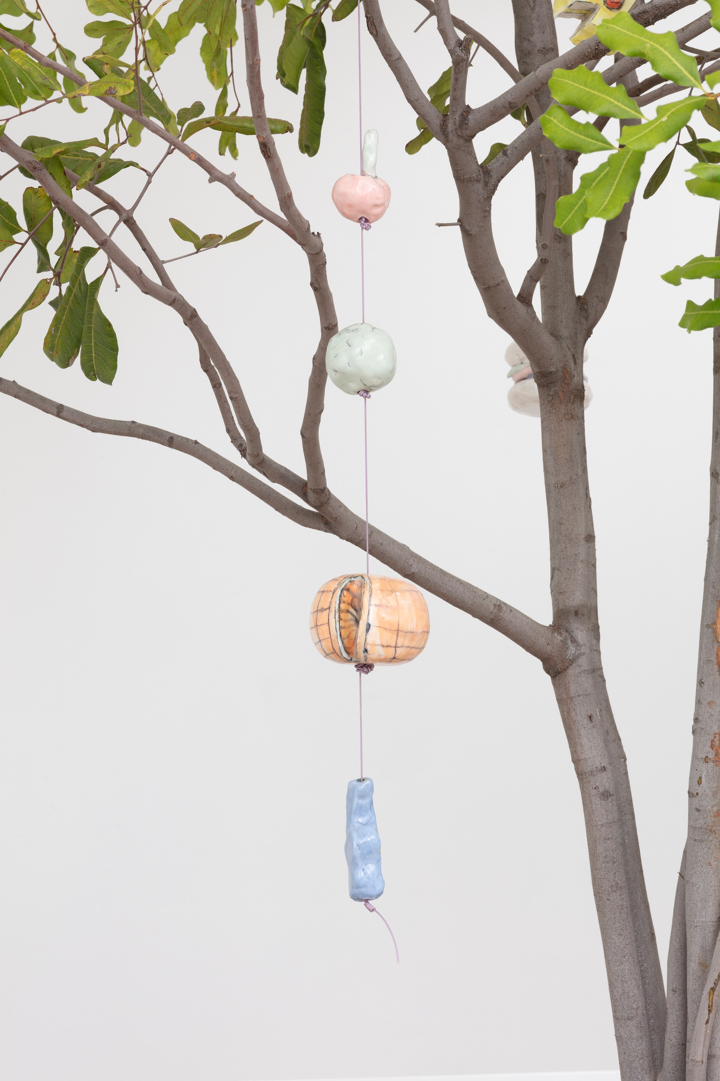 Johanna Jackson, I Am Vertical at NOON Projects, photo 51