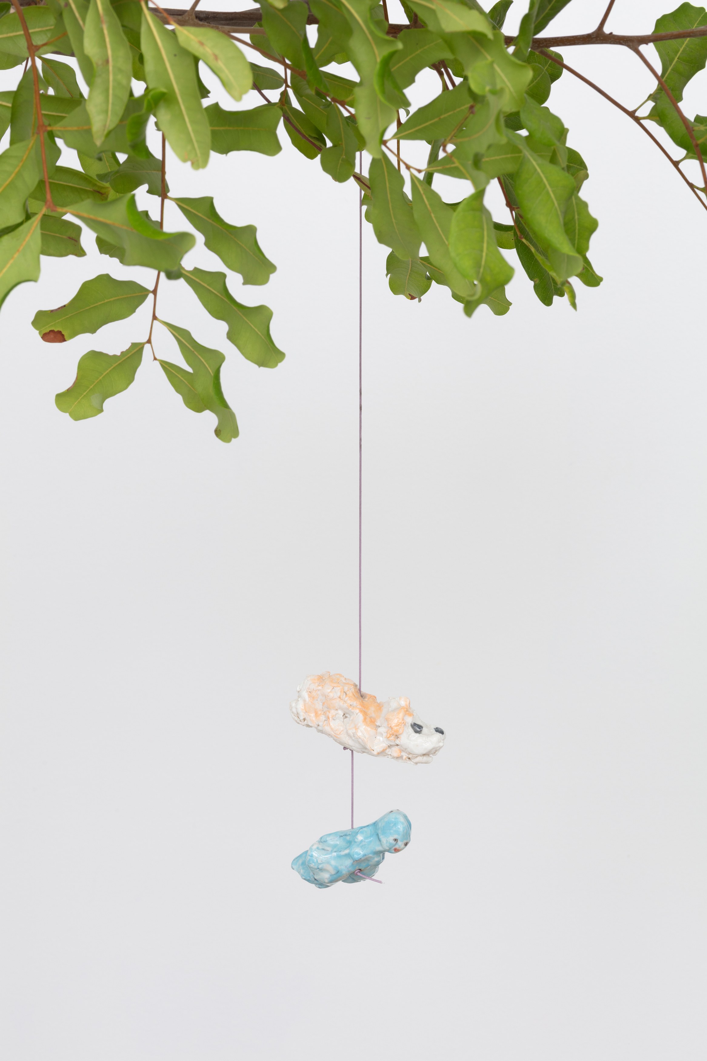 Johanna Jackson, I Am Vertical at NOON Projects, photo 50