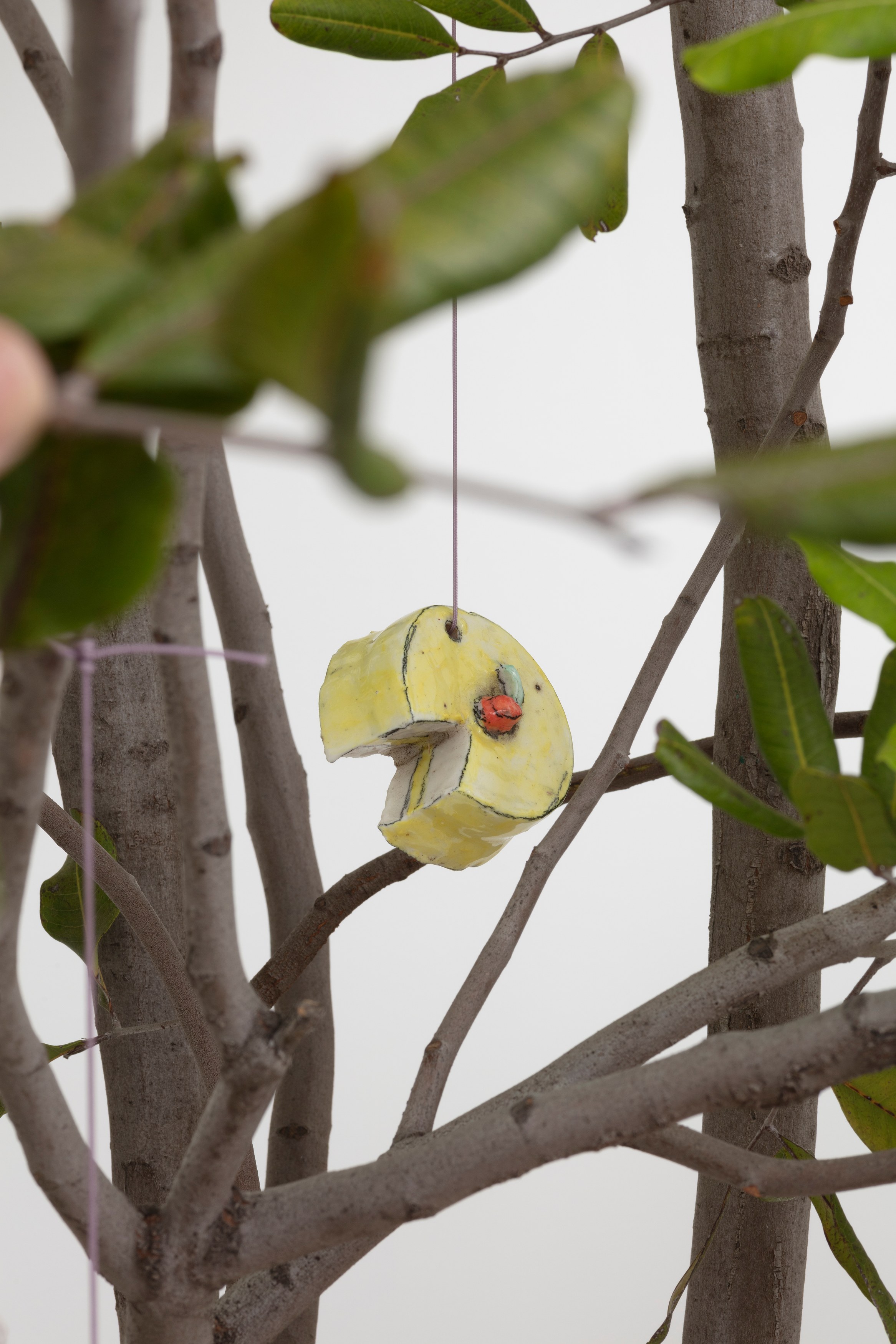 Johanna Jackson, I Am Vertical at NOON Projects, photo 53