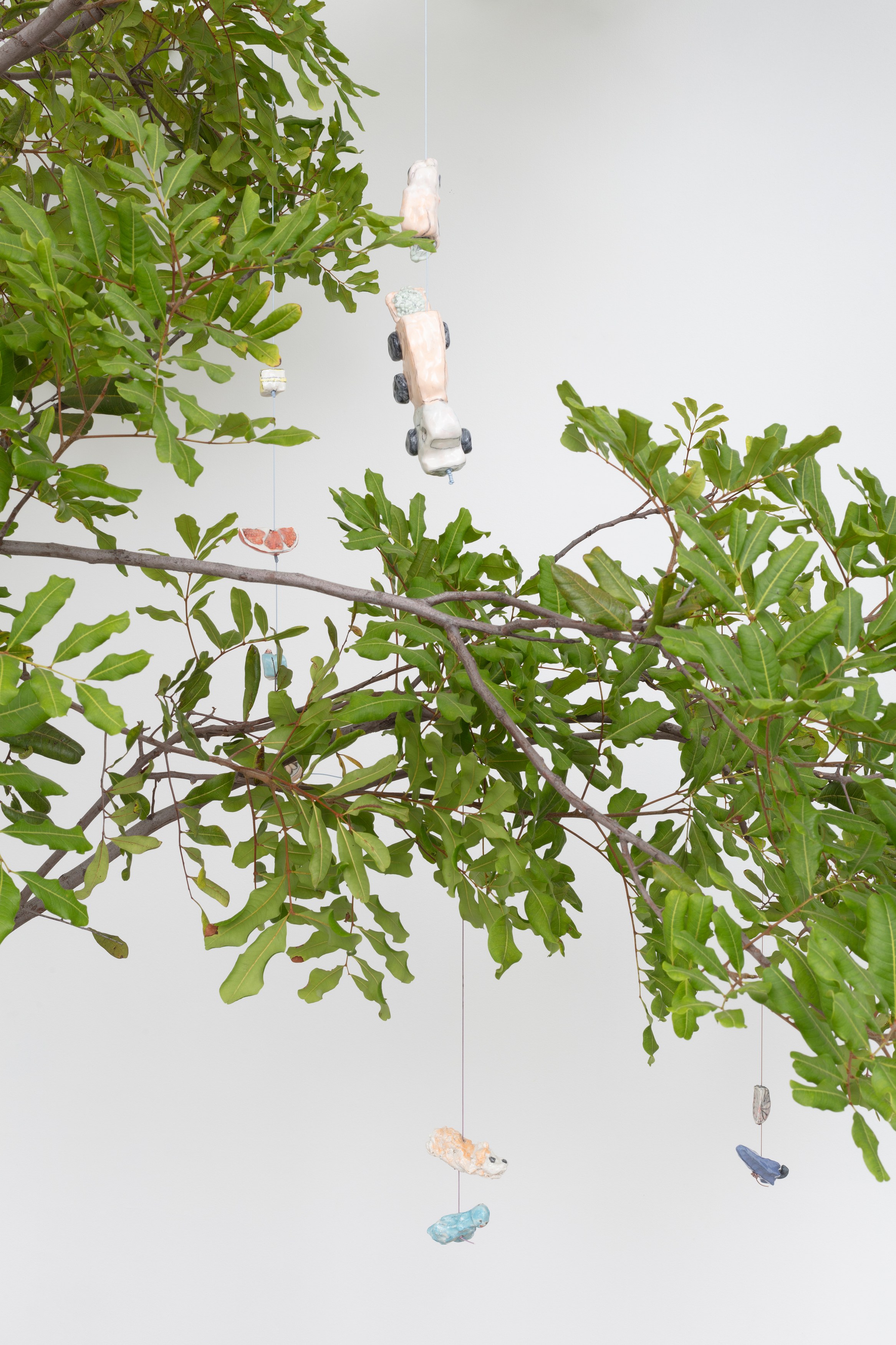 Johanna Jackson, I Am Vertical at NOON Projects, photo 54