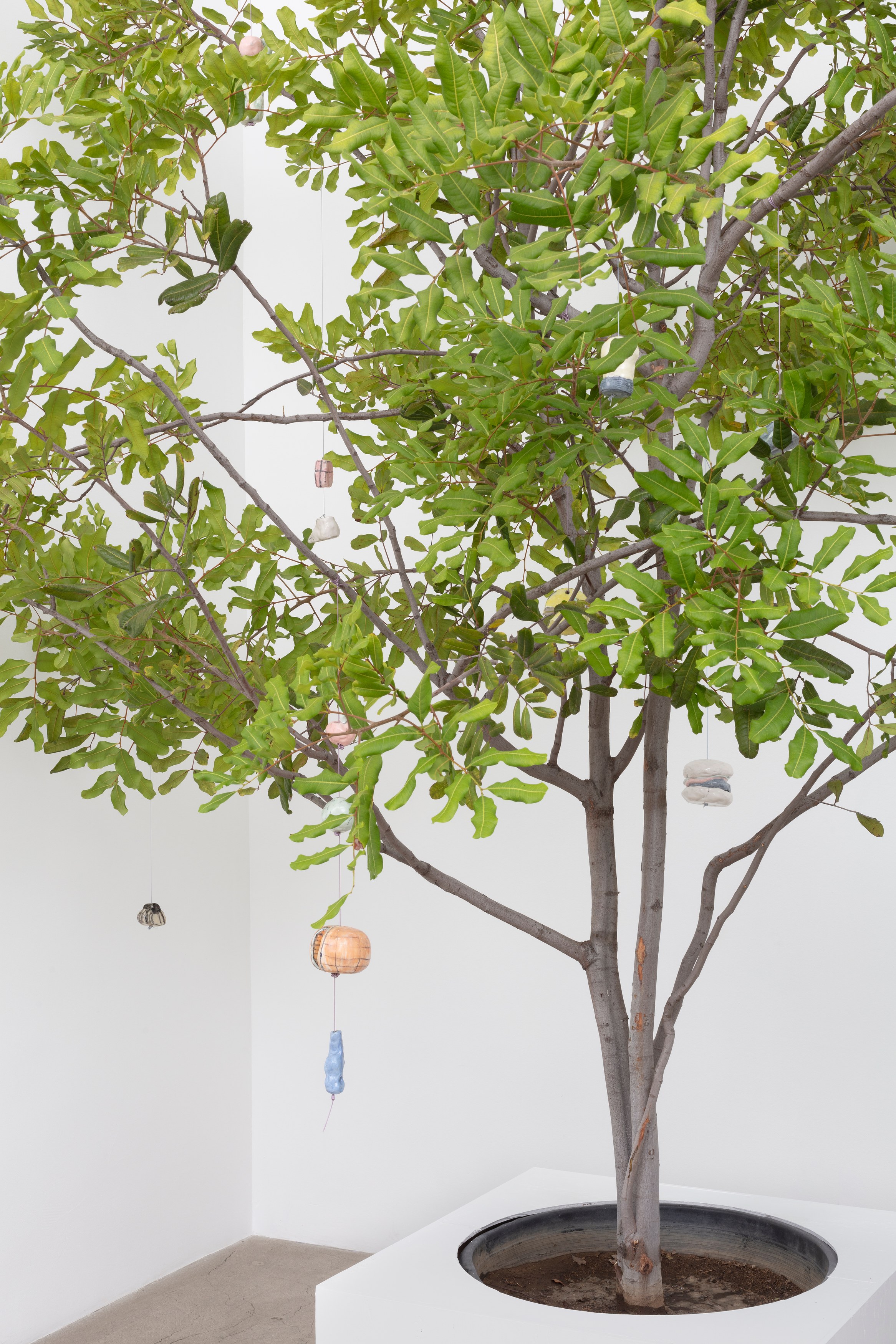 Johanna Jackson, I Am Vertical at NOON Projects, photo 55