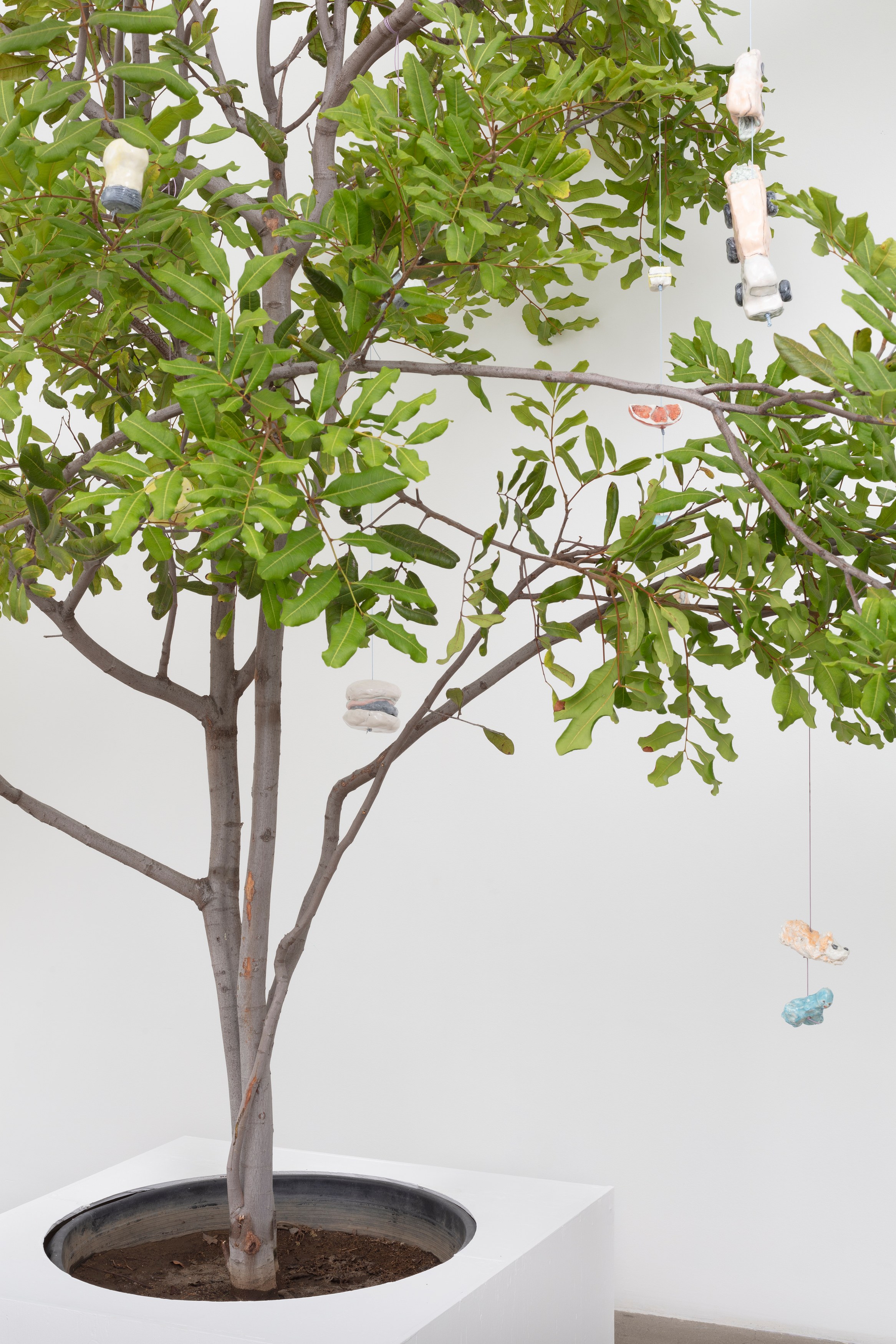 Johanna Jackson, I Am Vertical at NOON Projects, photo 56