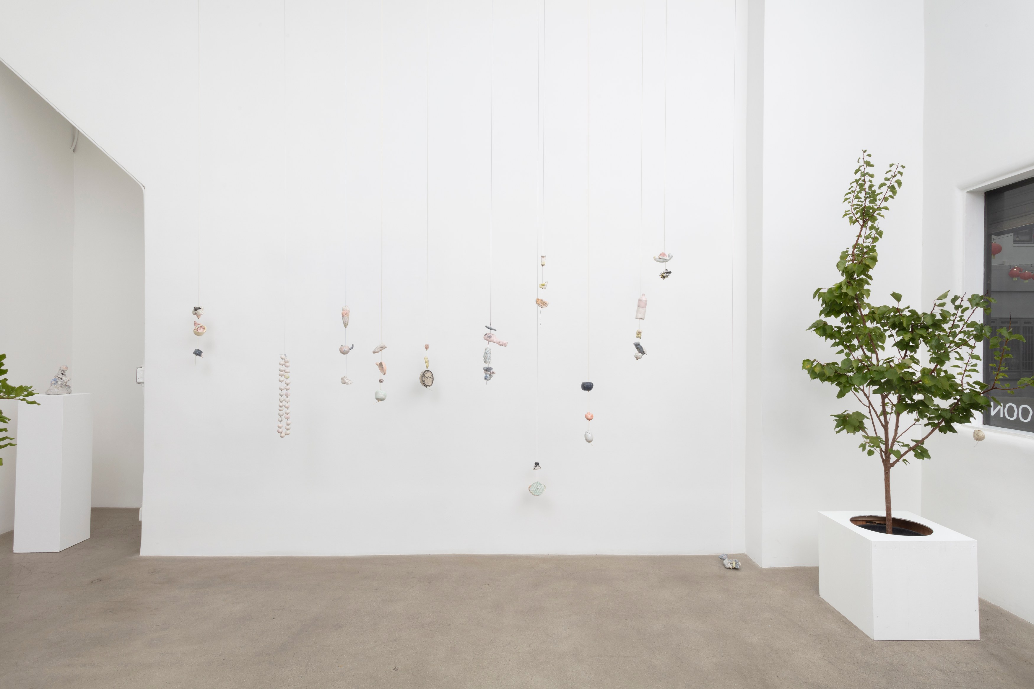 Johanna Jackson, I Am Vertical at NOON Projects, photo 12