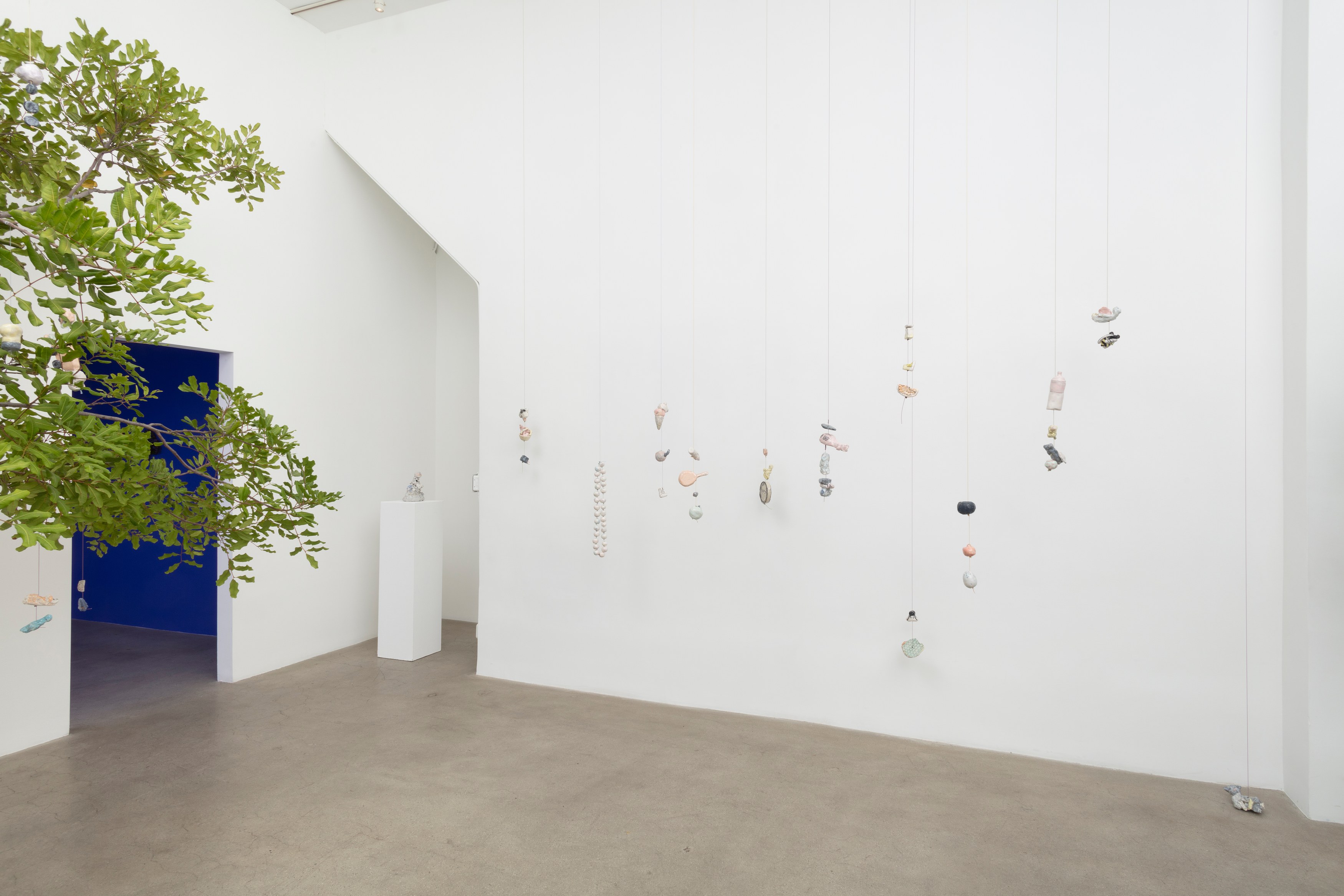 Johanna Jackson, I Am Vertical at NOON Projects, photo 11