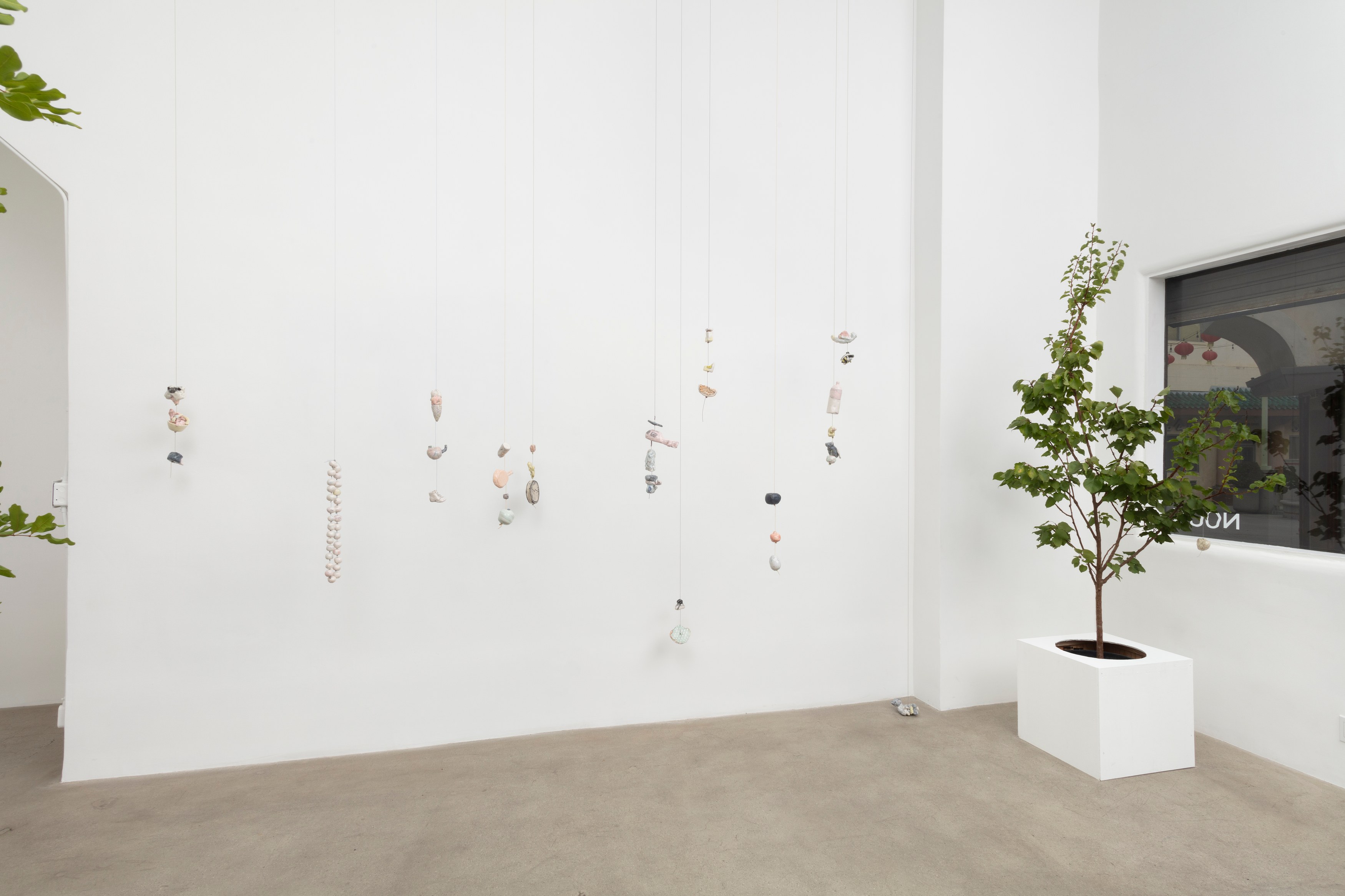 Johanna Jackson, I Am Vertical at NOON Projects, photo 13