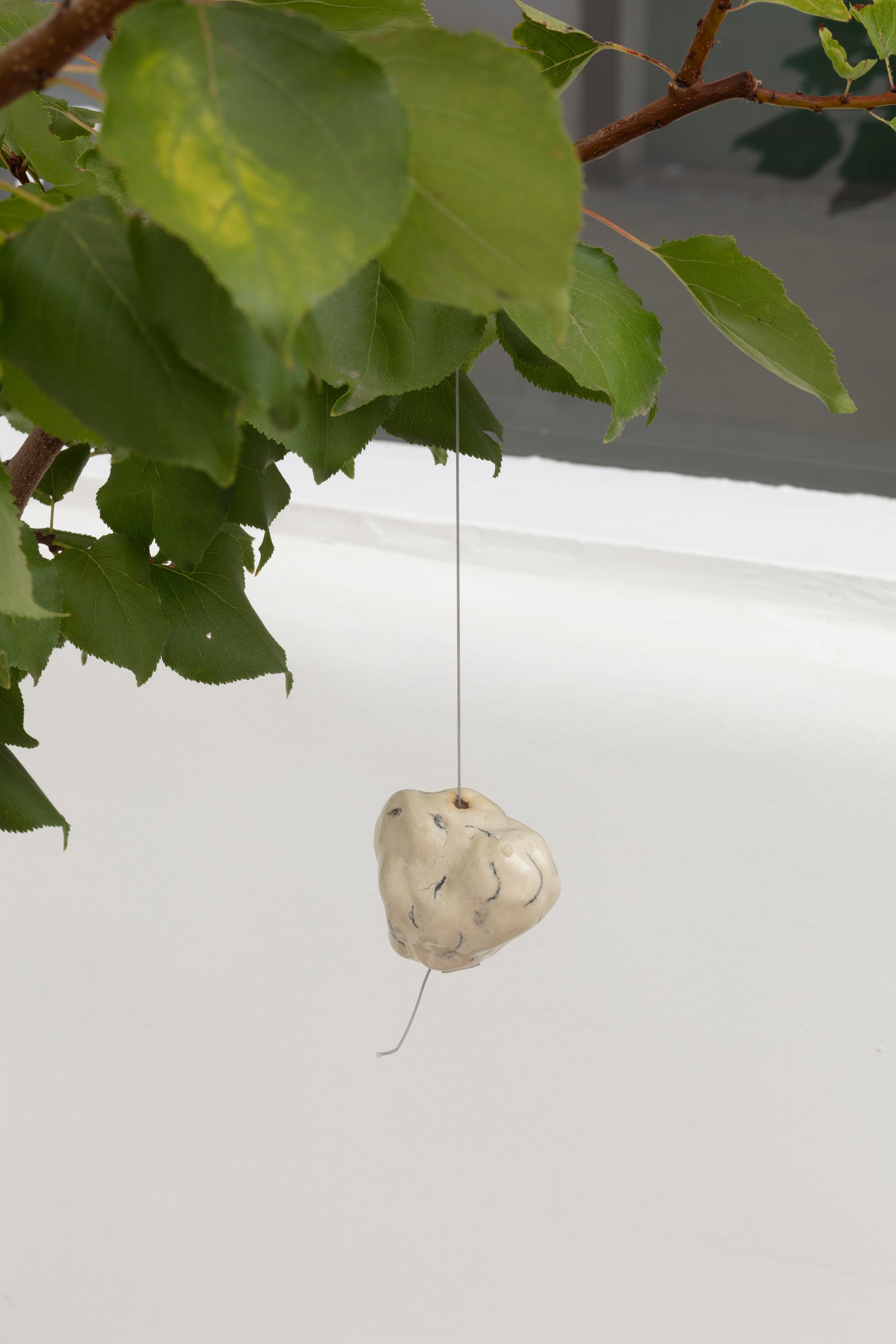Johanna Jackson, I Am Vertical at NOON Projects, photo 79