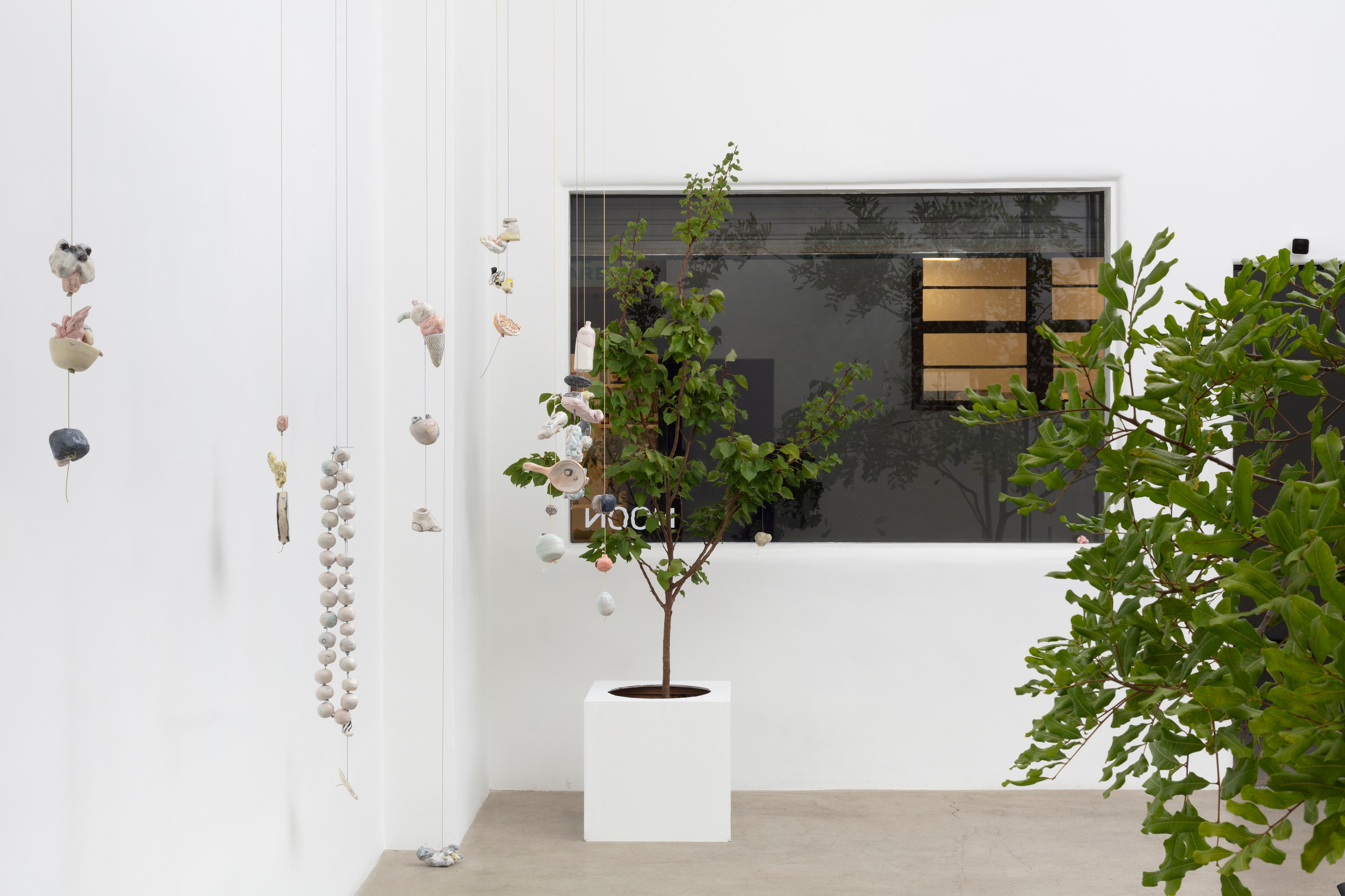 Johanna Jackson, I Am Vertical at NOON Projects, photo 17