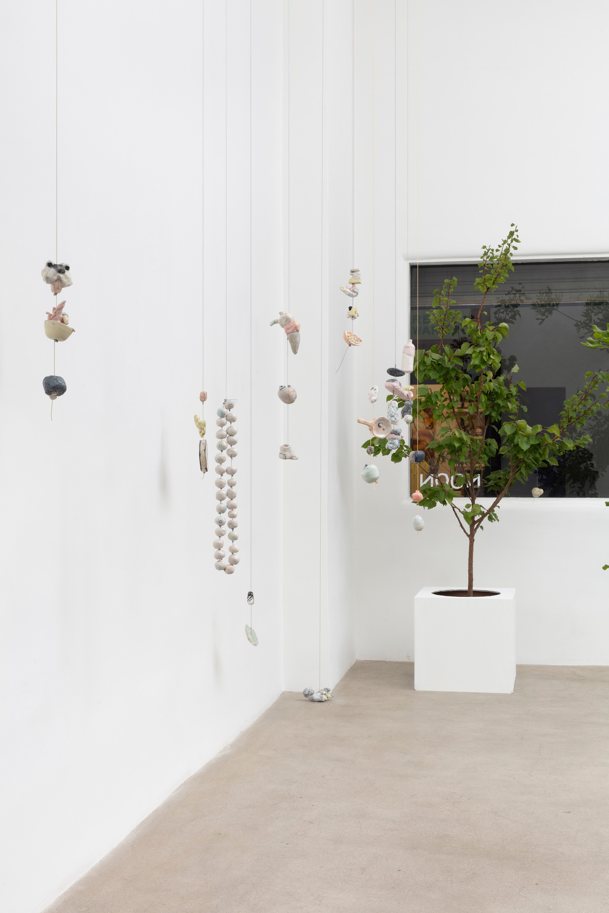 Johanna Jackson, I Am Vertical at NOON Projects, photo 19
