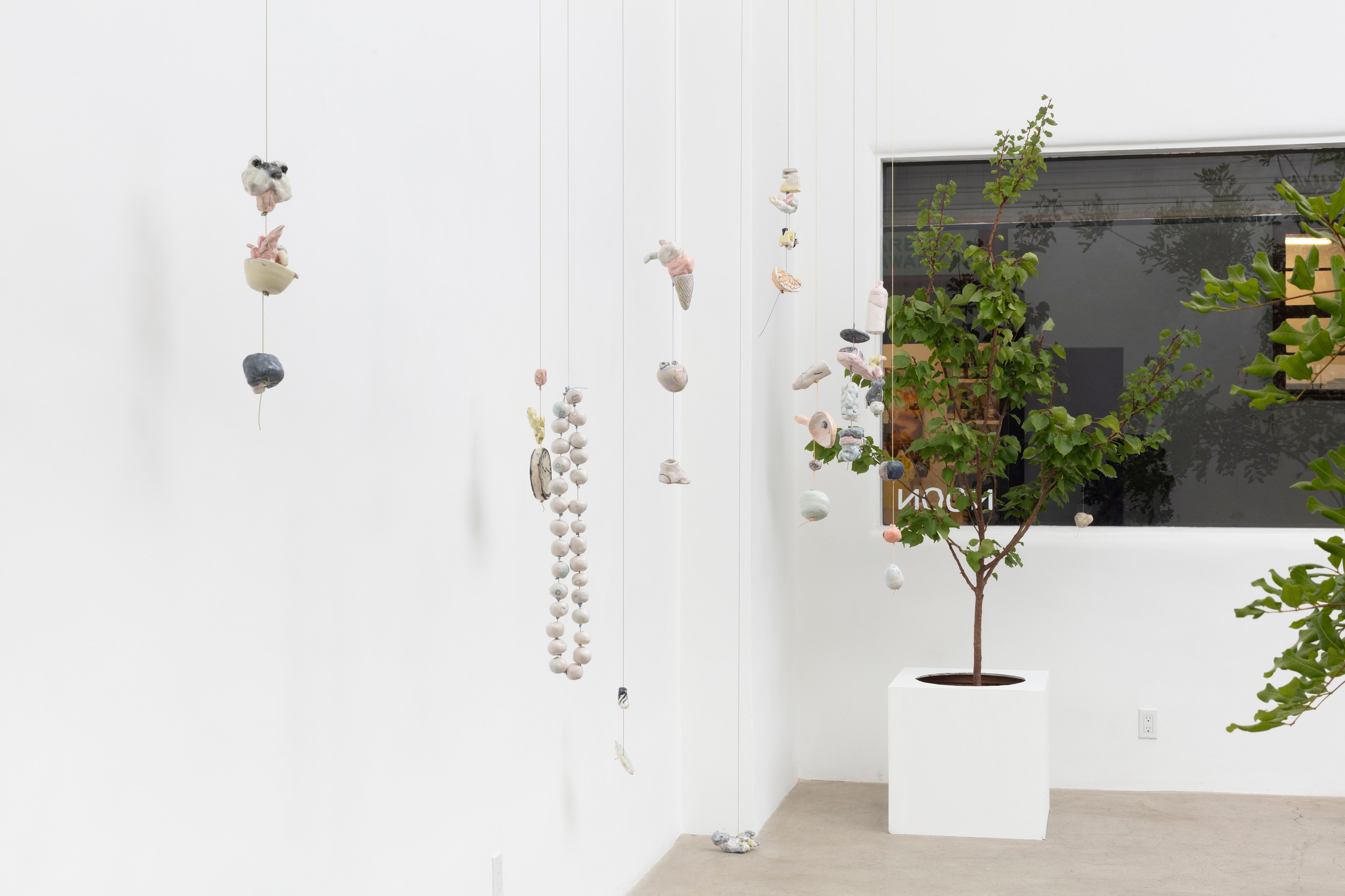 Johanna Jackson, I Am Vertical at NOON Projects, photo 18