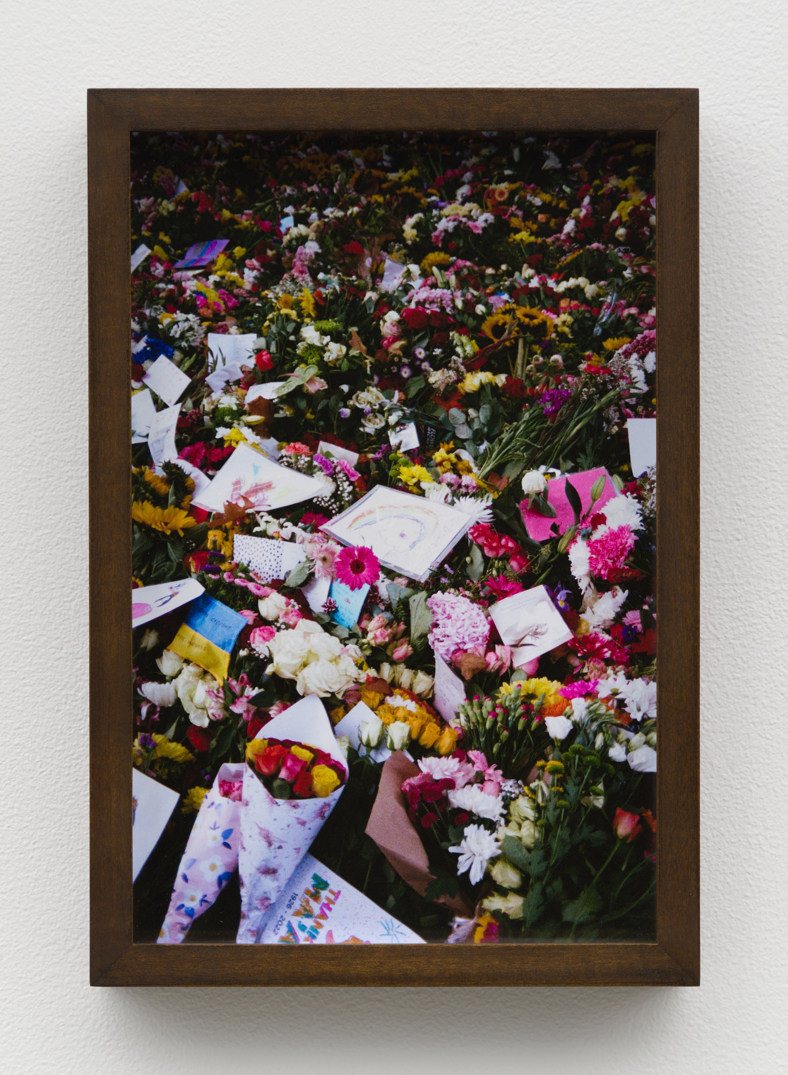 Installation view 7