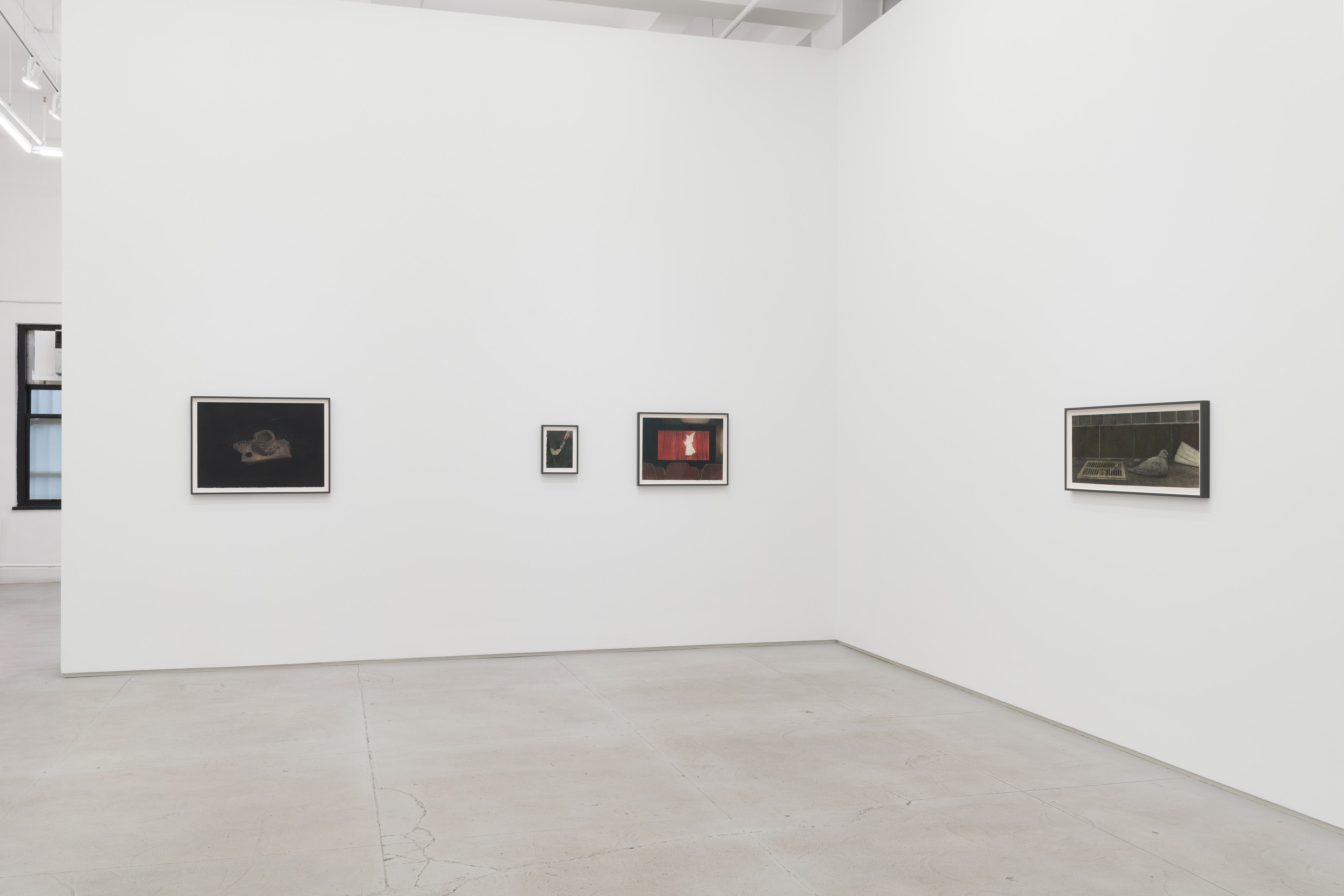 Installation view 8