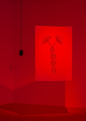 Image 2 of 10