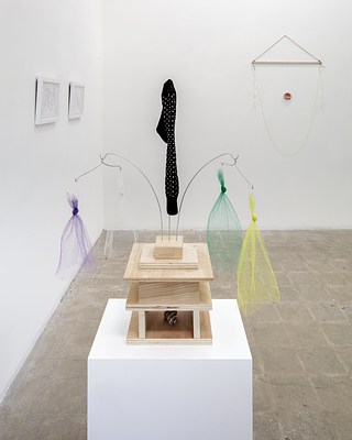 Image 10 of 24