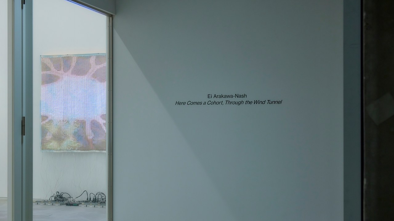 Ei Arakawa-Nash at Taka Ishii Gallery Viewing Room | Contemporary