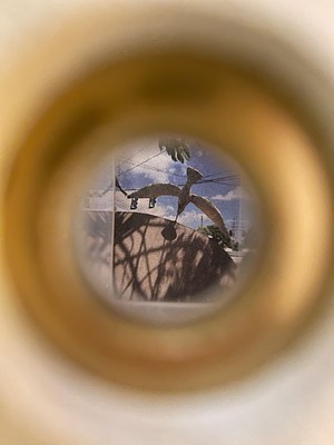Image 16 of 29