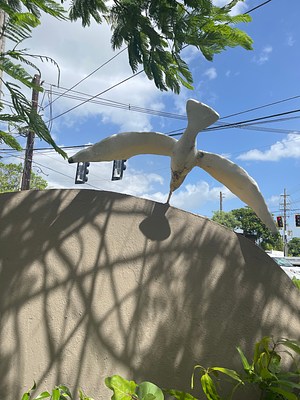 Image 17 of 29