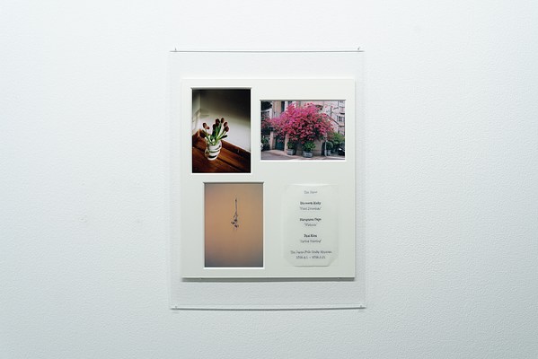 Image 45 of 56