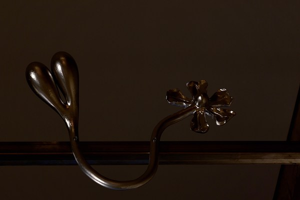 Image 11 of 51