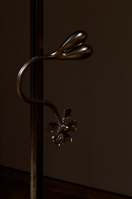 Image 12 of 51