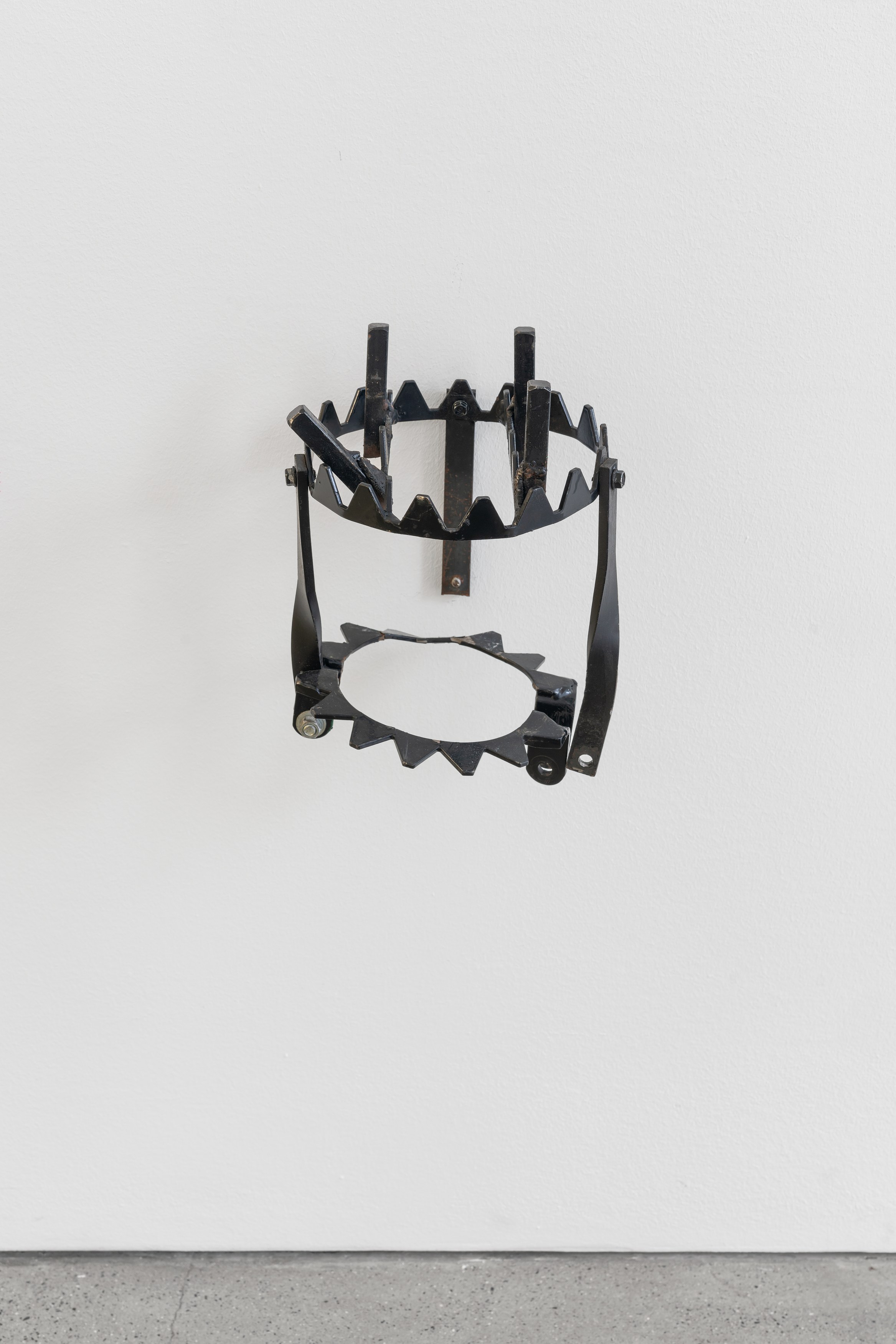 fields harrington, David L. Johnson, Semantic Drift at Galerie Thomas Schulte, photo 5