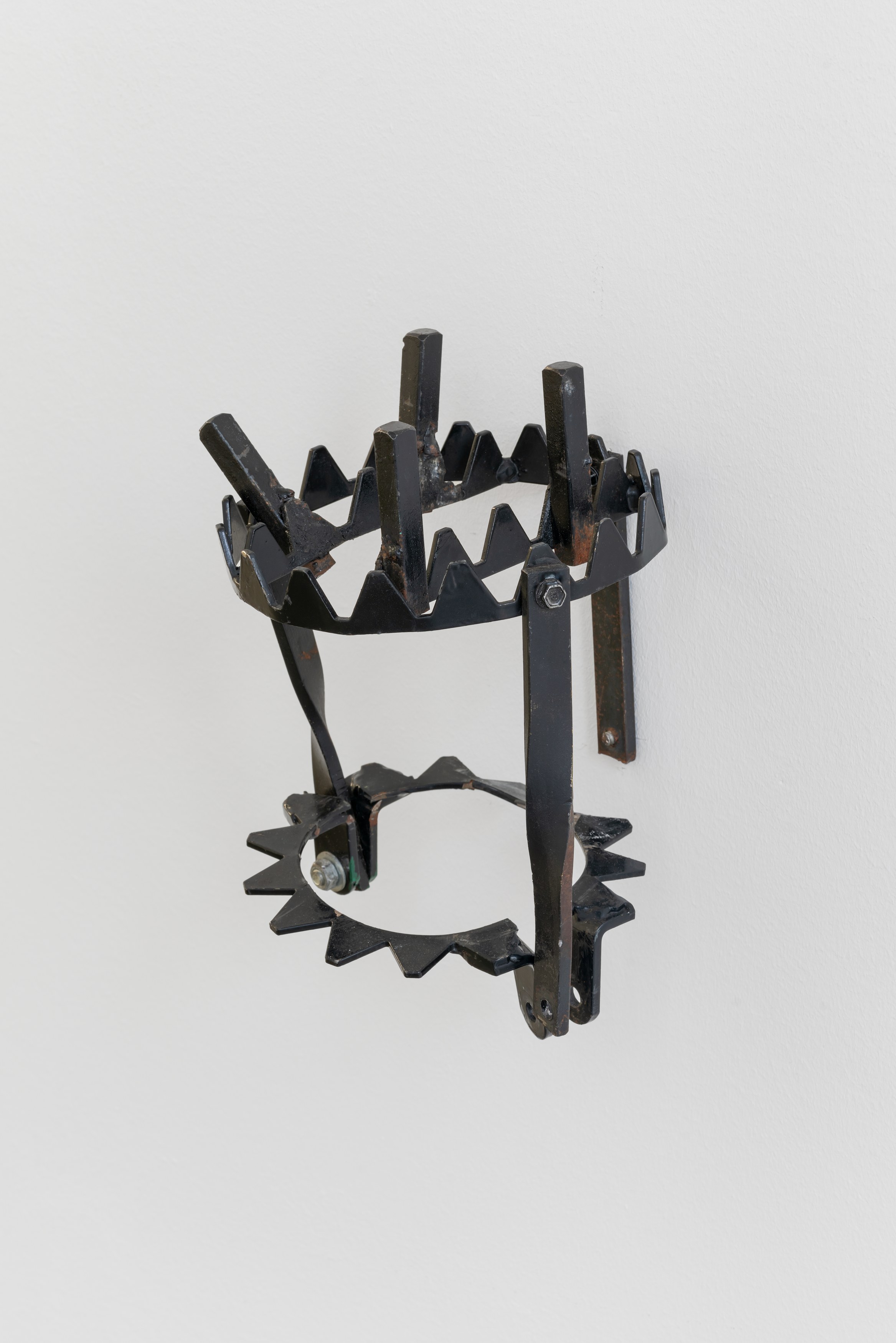 fields harrington, David L. Johnson, Semantic Drift at Galerie Thomas Schulte, photo 6