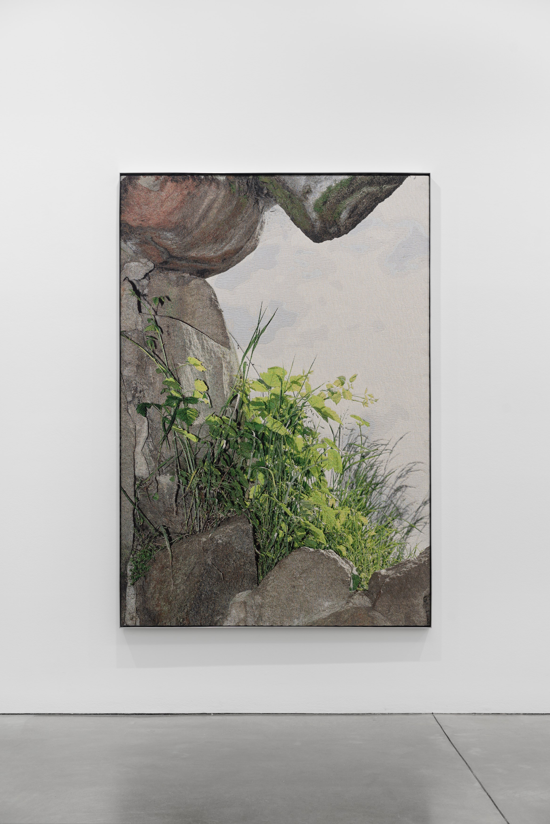 David Hartt, Naturphilosophie at Galerie Thomas Schulte, photo 2