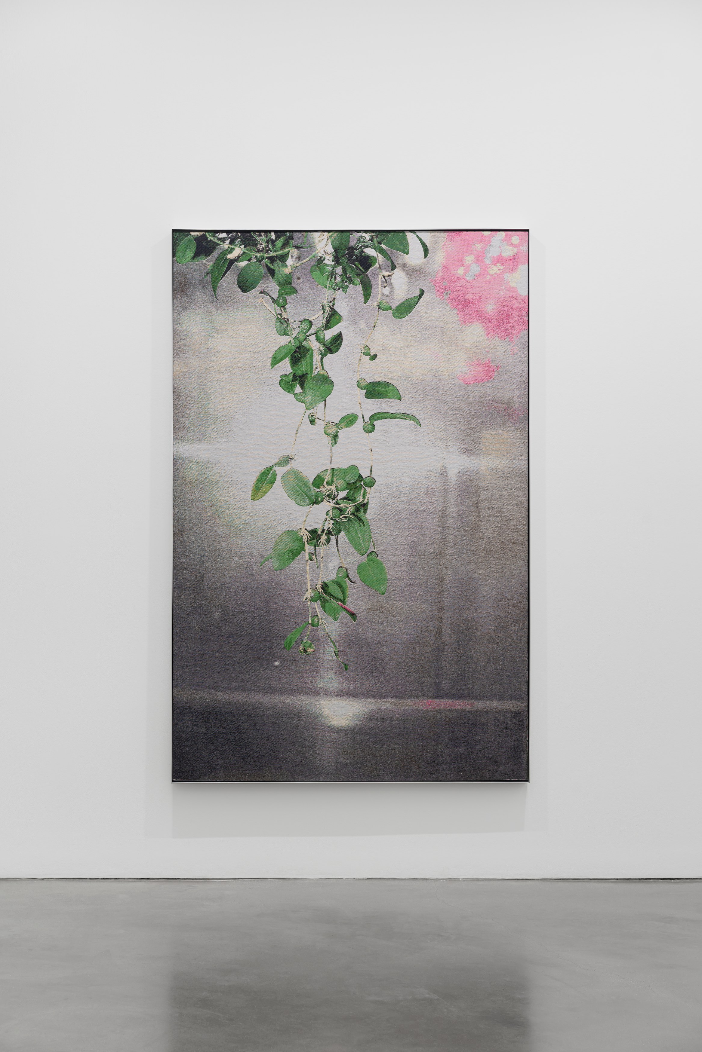 David Hartt, Naturphilosophie at Galerie Thomas Schulte, photo 3