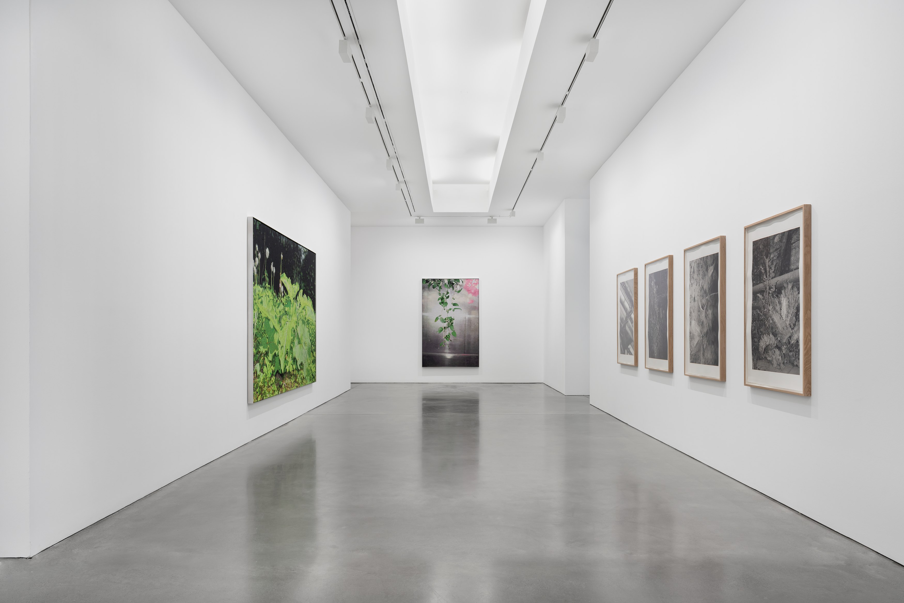 David Hartt, Naturphilosophie at Galerie Thomas Schulte, photo 4