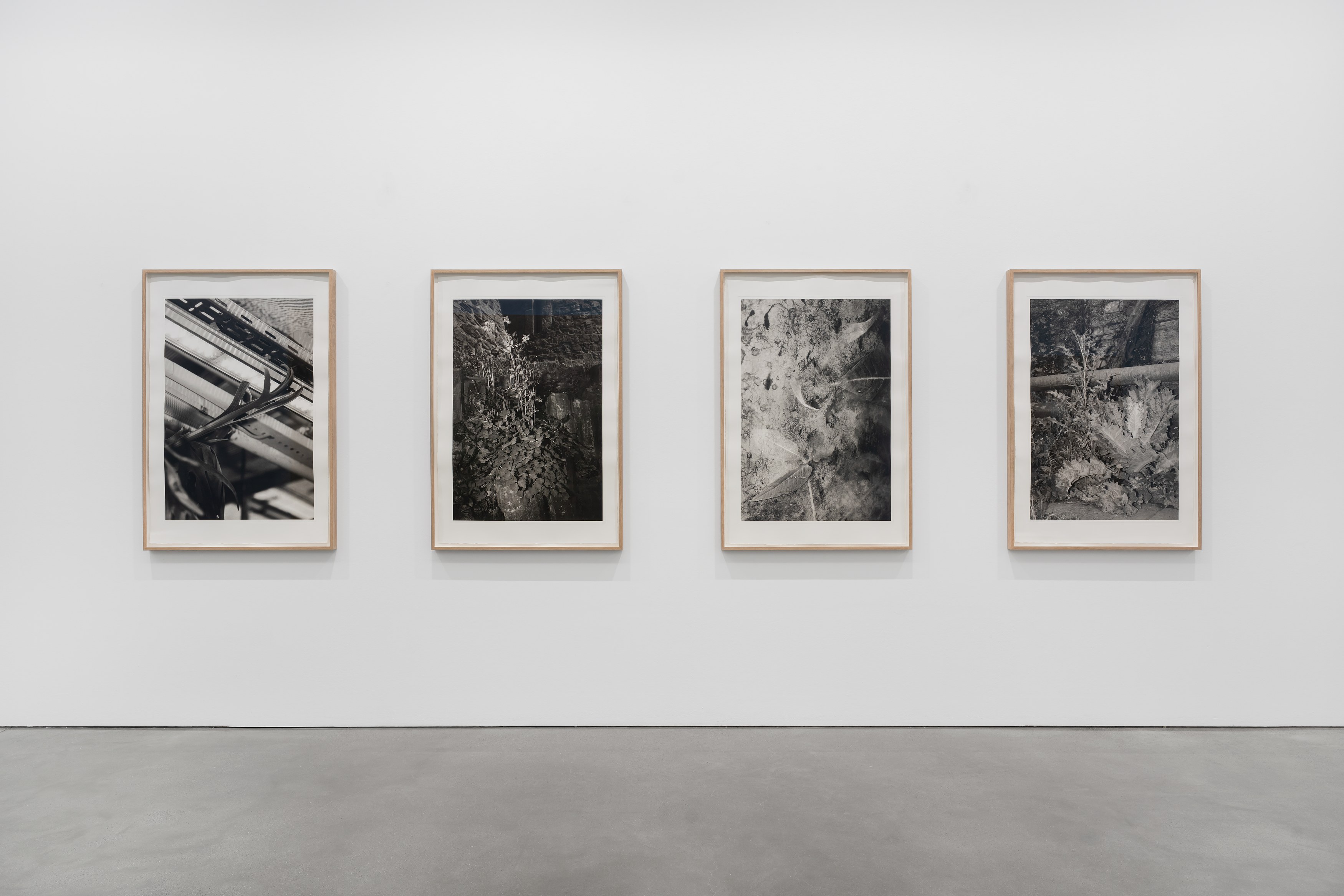 David Hartt, Naturphilosophie at Galerie Thomas Schulte, photo 5