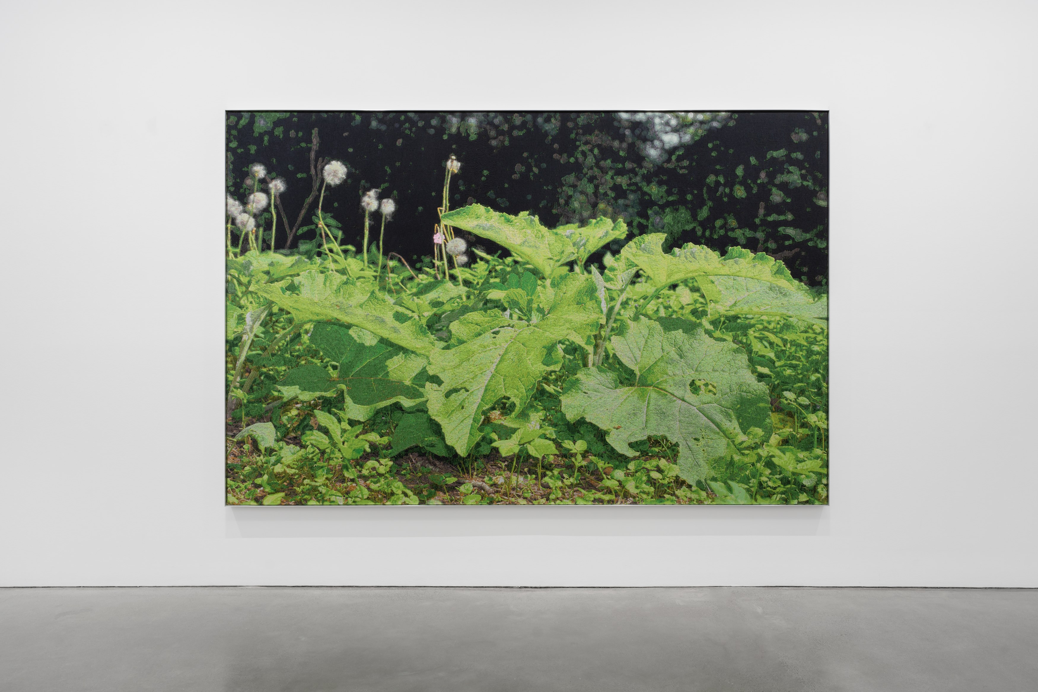 David Hartt, Naturphilosophie at Galerie Thomas Schulte, photo 6