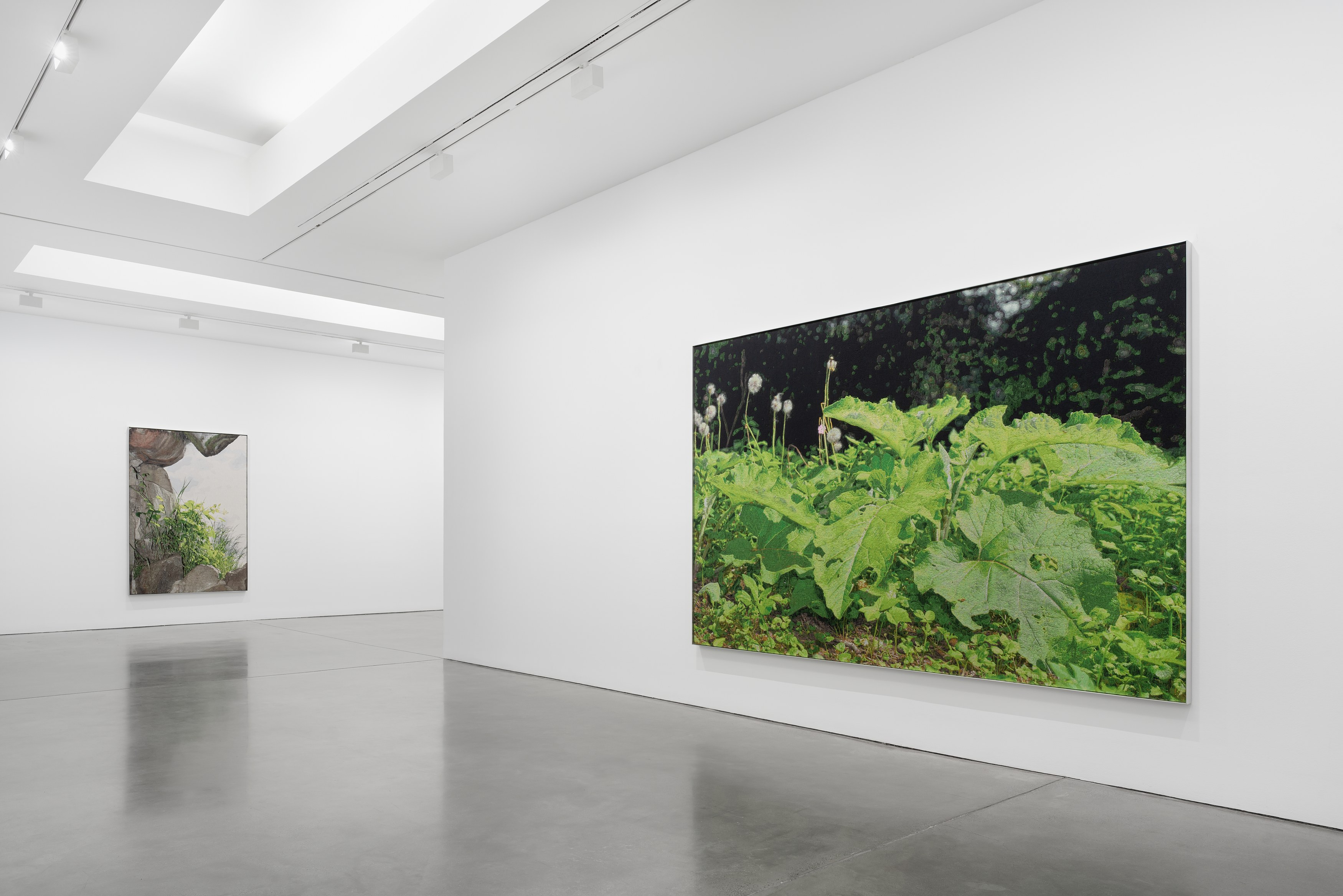 David Hartt, Naturphilosophie at Galerie Thomas Schulte, photo 7