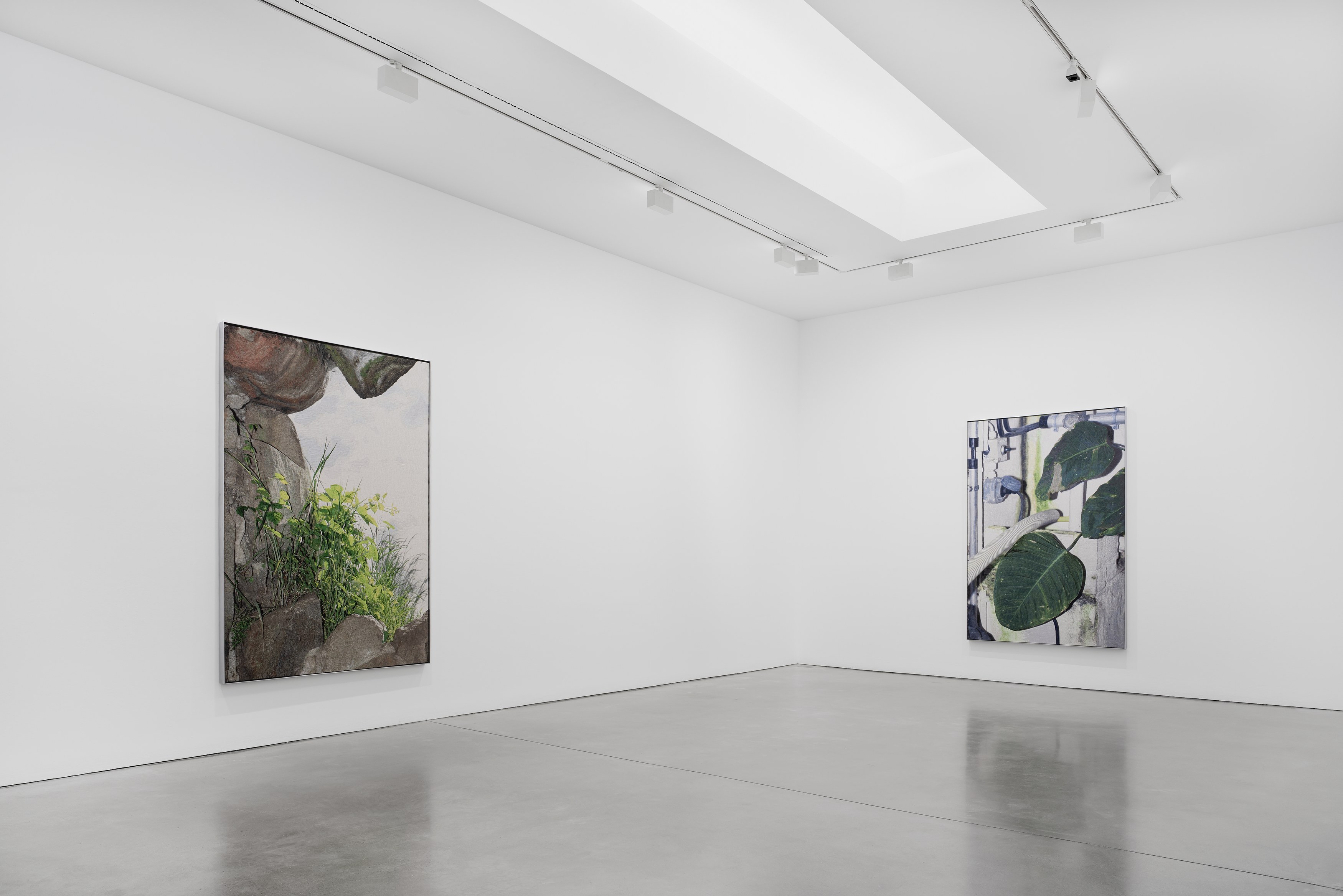 David Hartt, Naturphilosophie at Galerie Thomas Schulte, photo 8