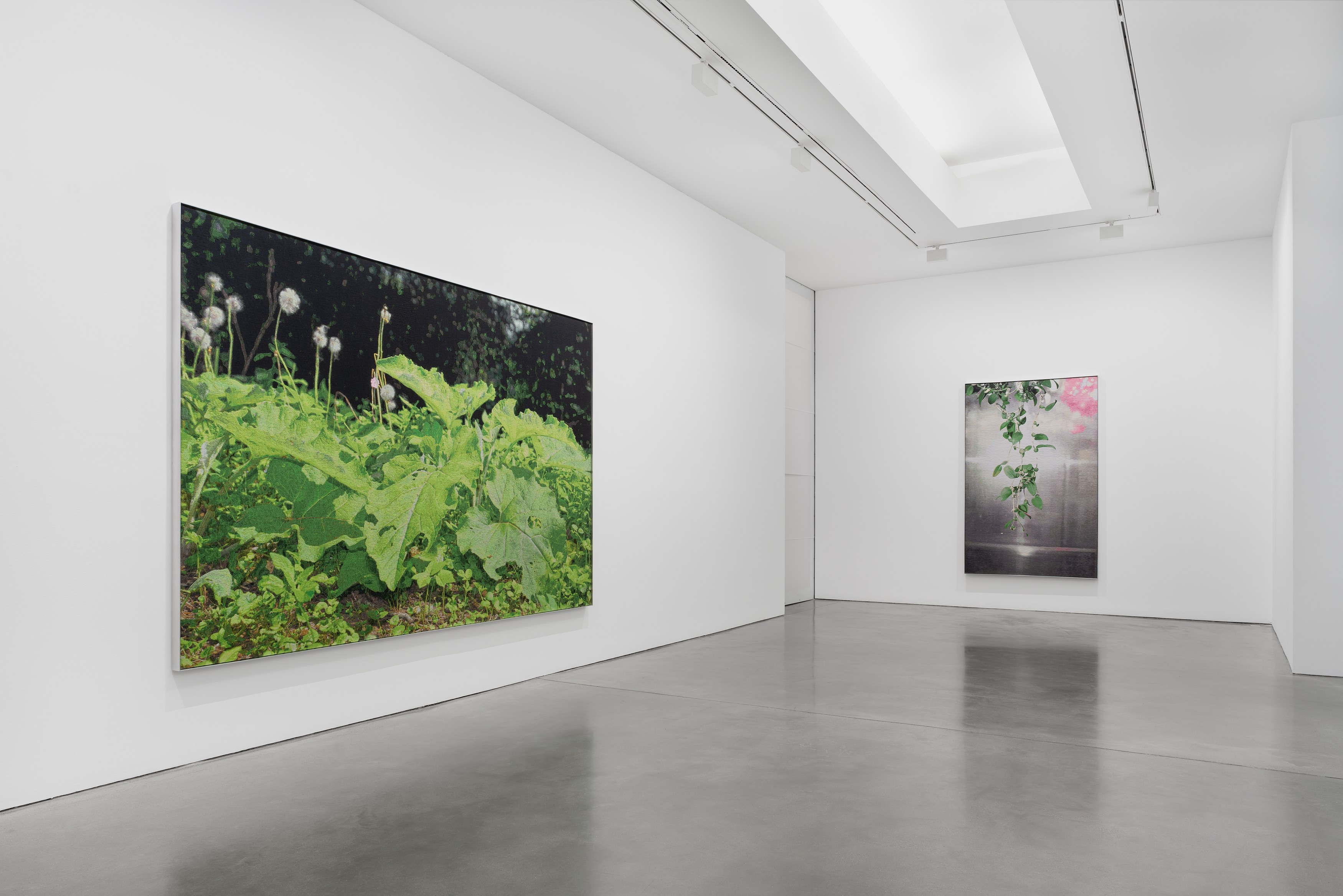 David Hartt, Naturphilosophie at Galerie Thomas Schulte, photo 9